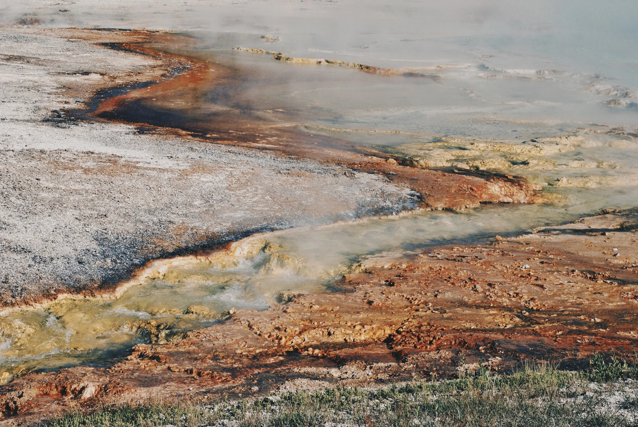 Yellowstone Sulphur, 2014