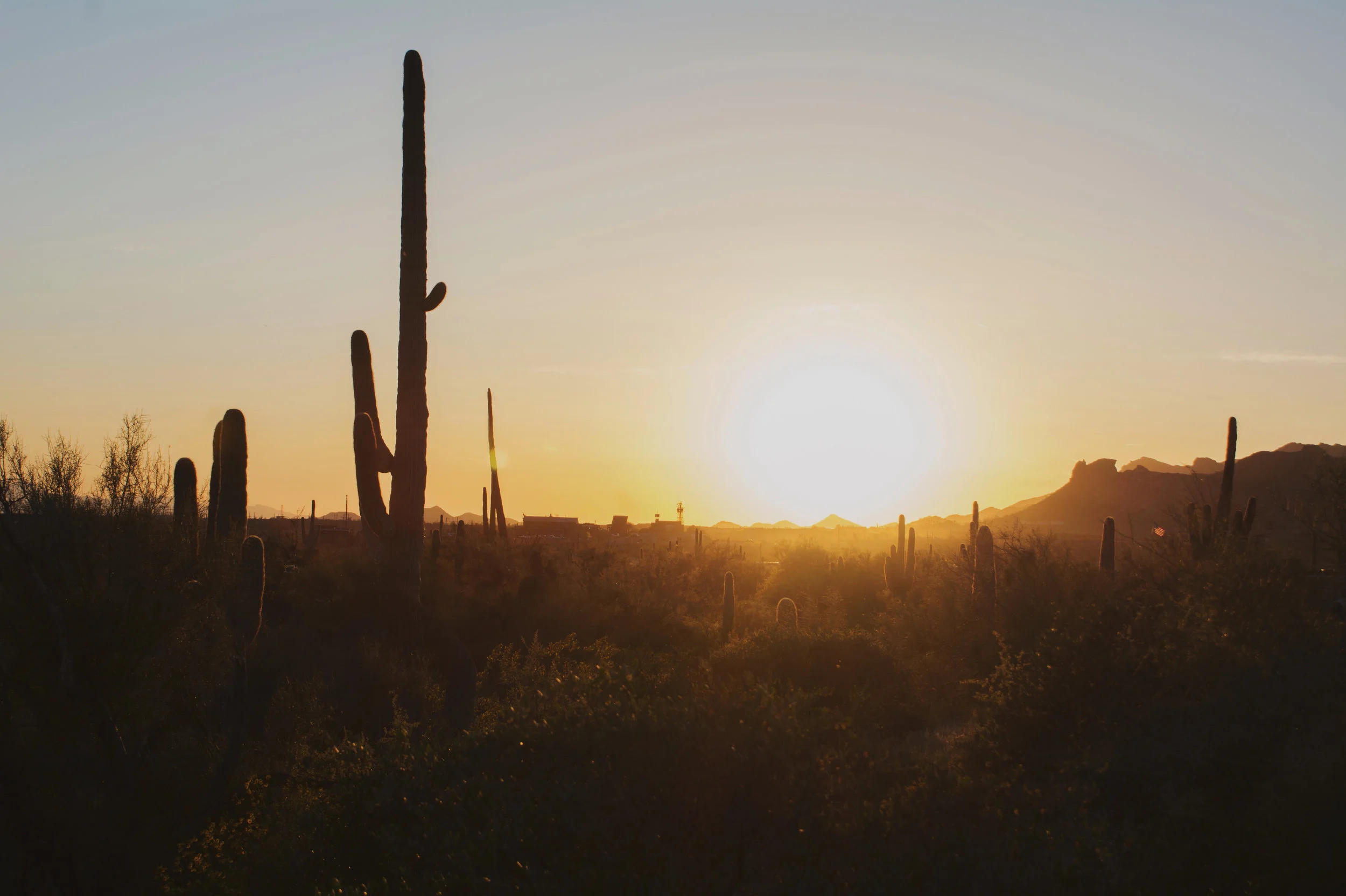 Lost Dutchman State Park, 2017