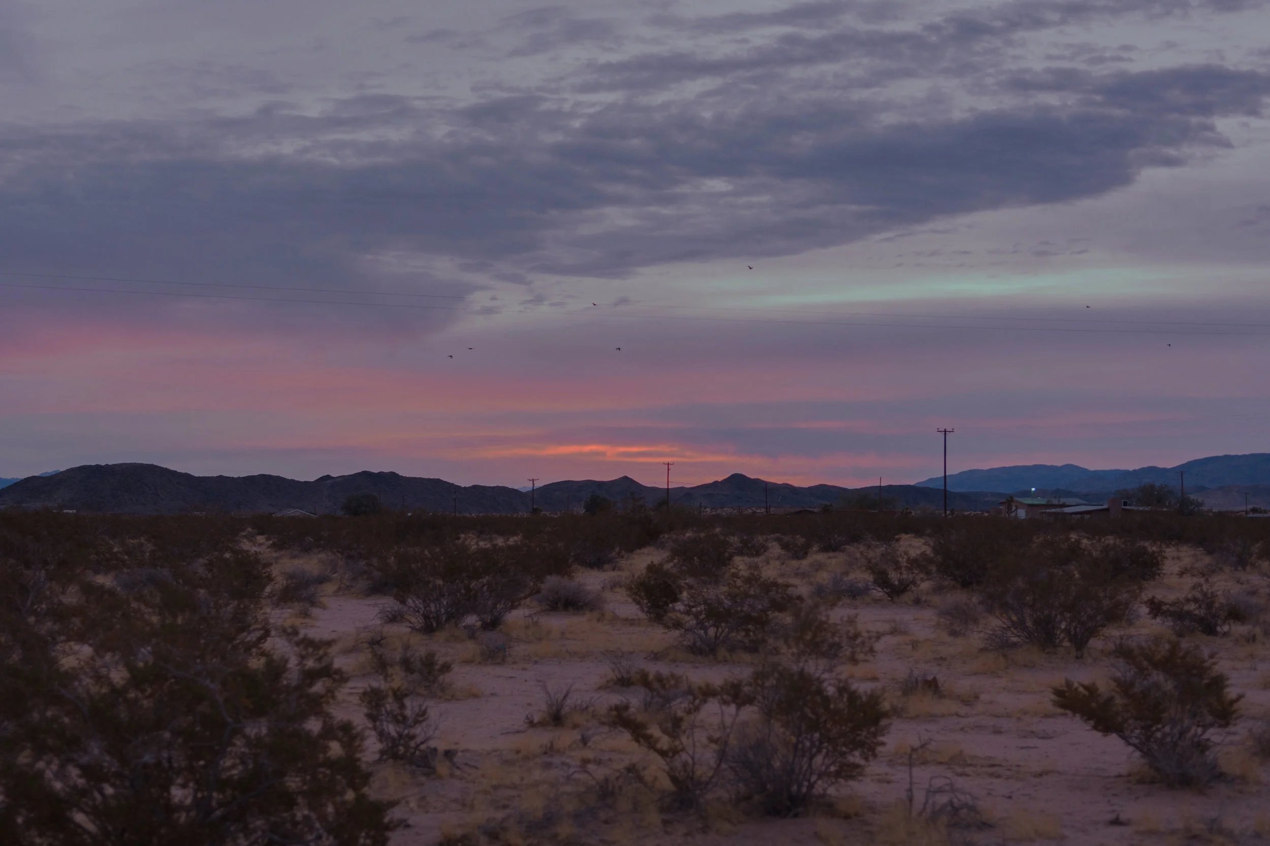 Joshua Tree, CA 2017