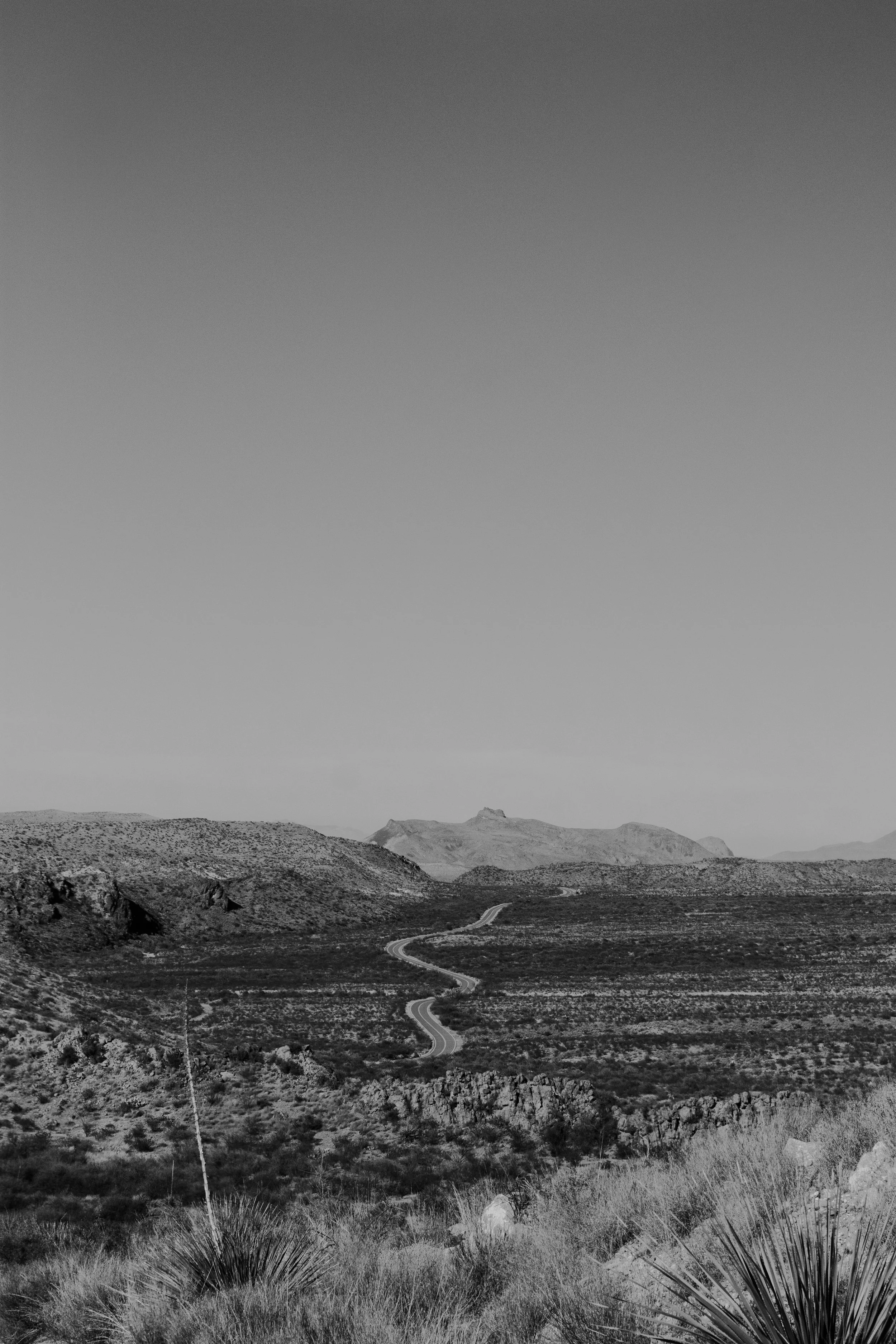 Big Bend National Park_Olivia Perillo_2018 6.jpg