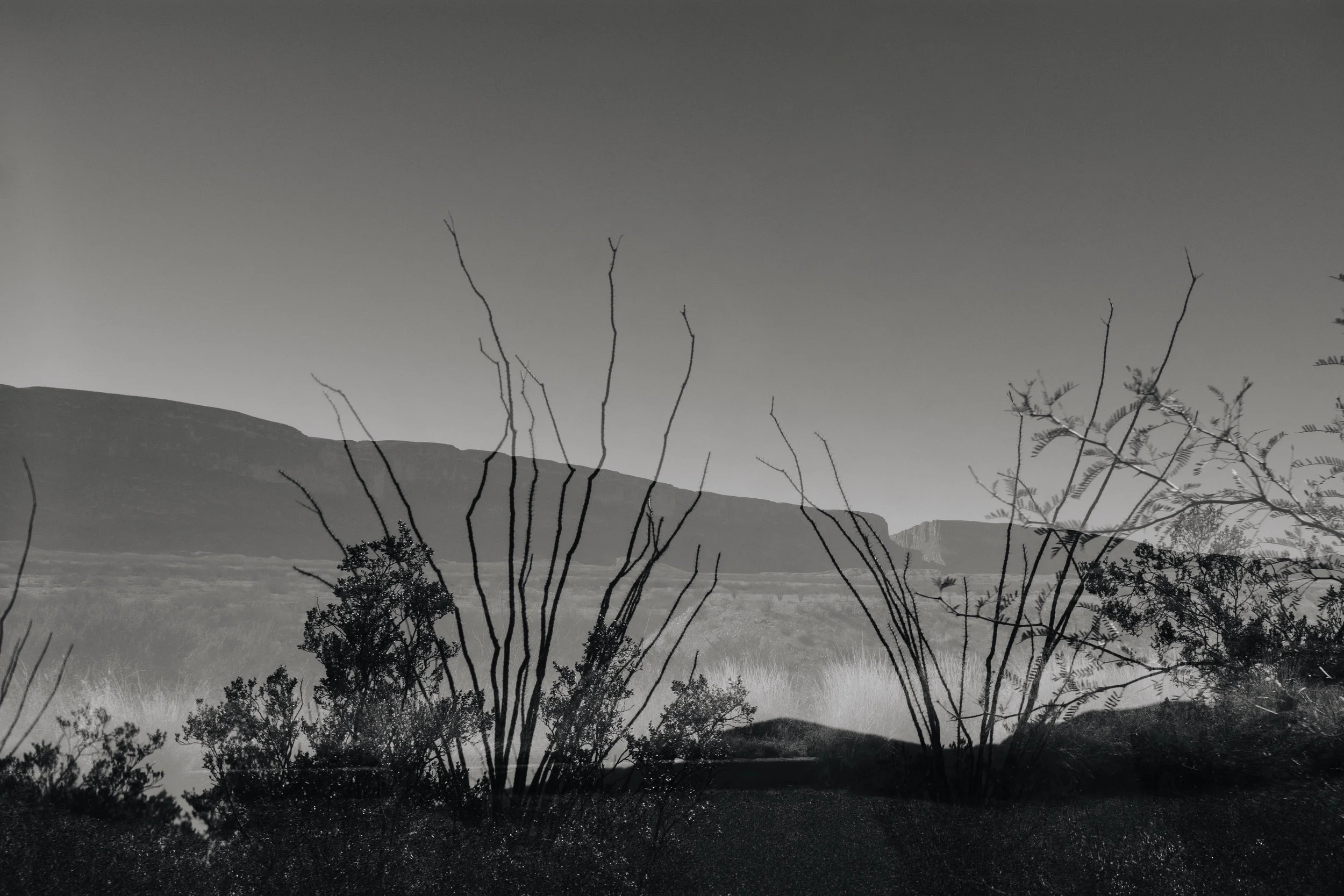 Big Bend National Park, 2018
