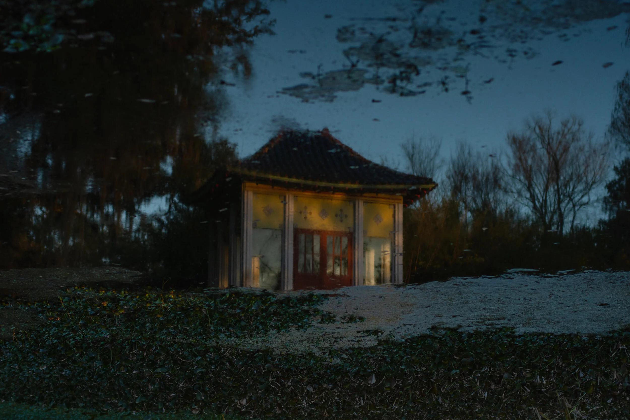 Avery Island 2020