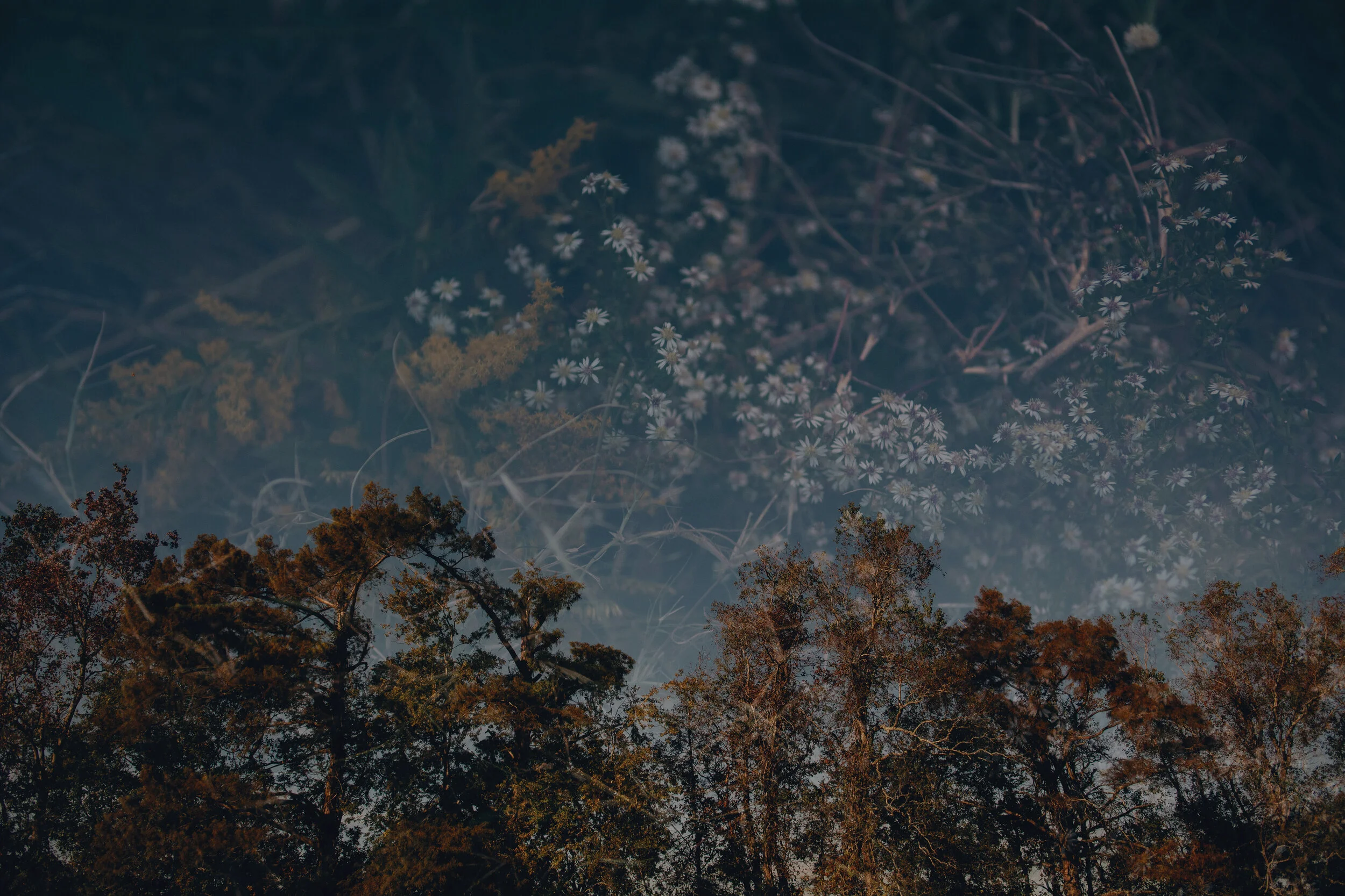 Intention production_Olivia Perillo_2019_045.JPG