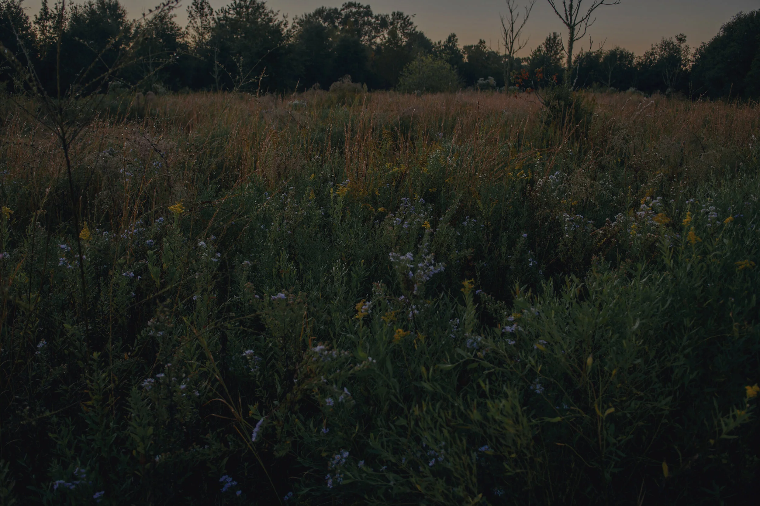 Intention production_Olivia Perillo_2019_149.JPG