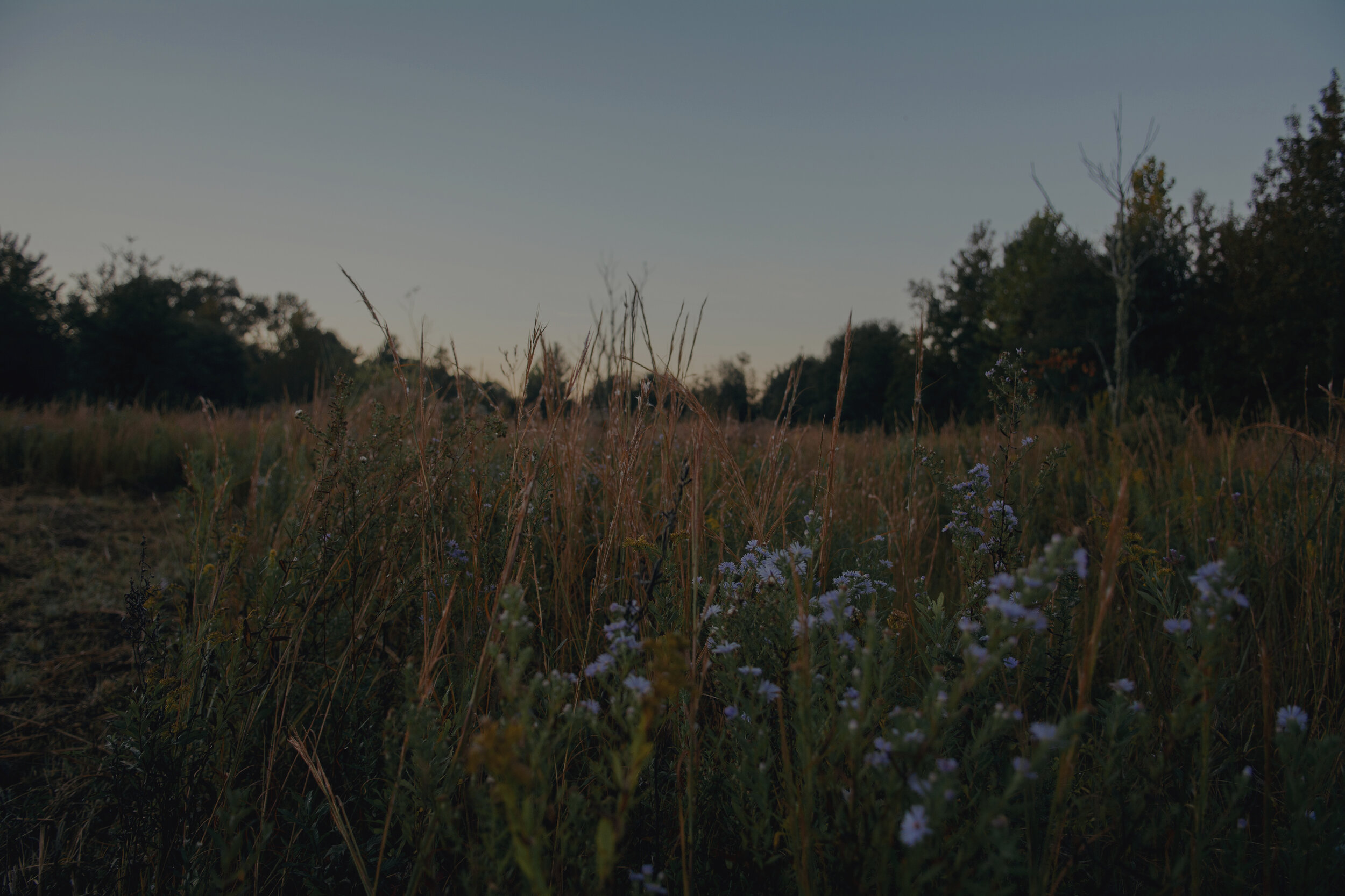 Intention production_Olivia Perillo_2019_150.JPG