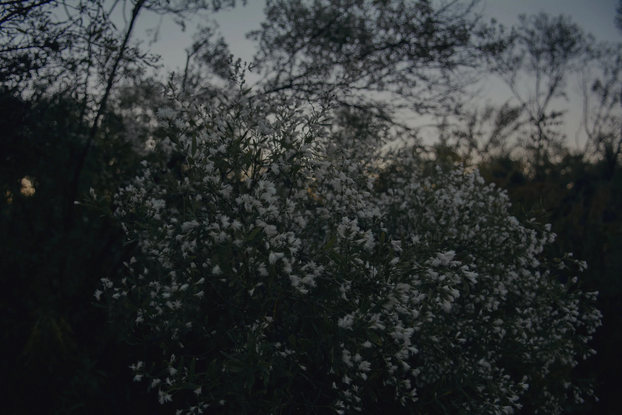 Intention production_Olivia Perillo_2019_151.JPG