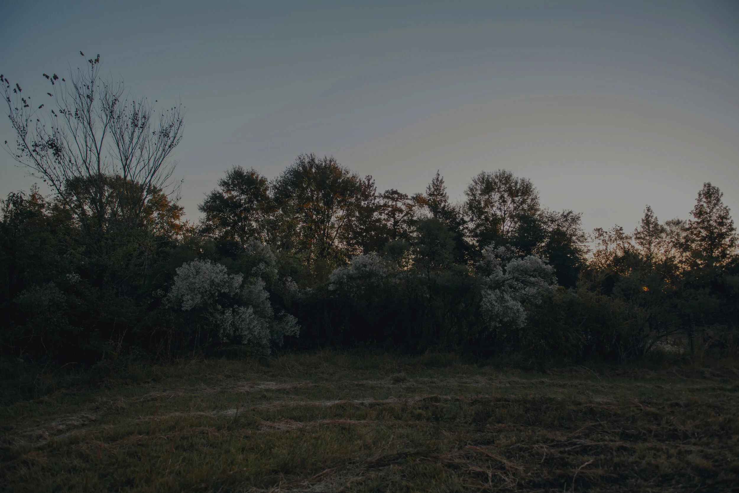 Intention production_Olivia Perillo_2019_153.JPG