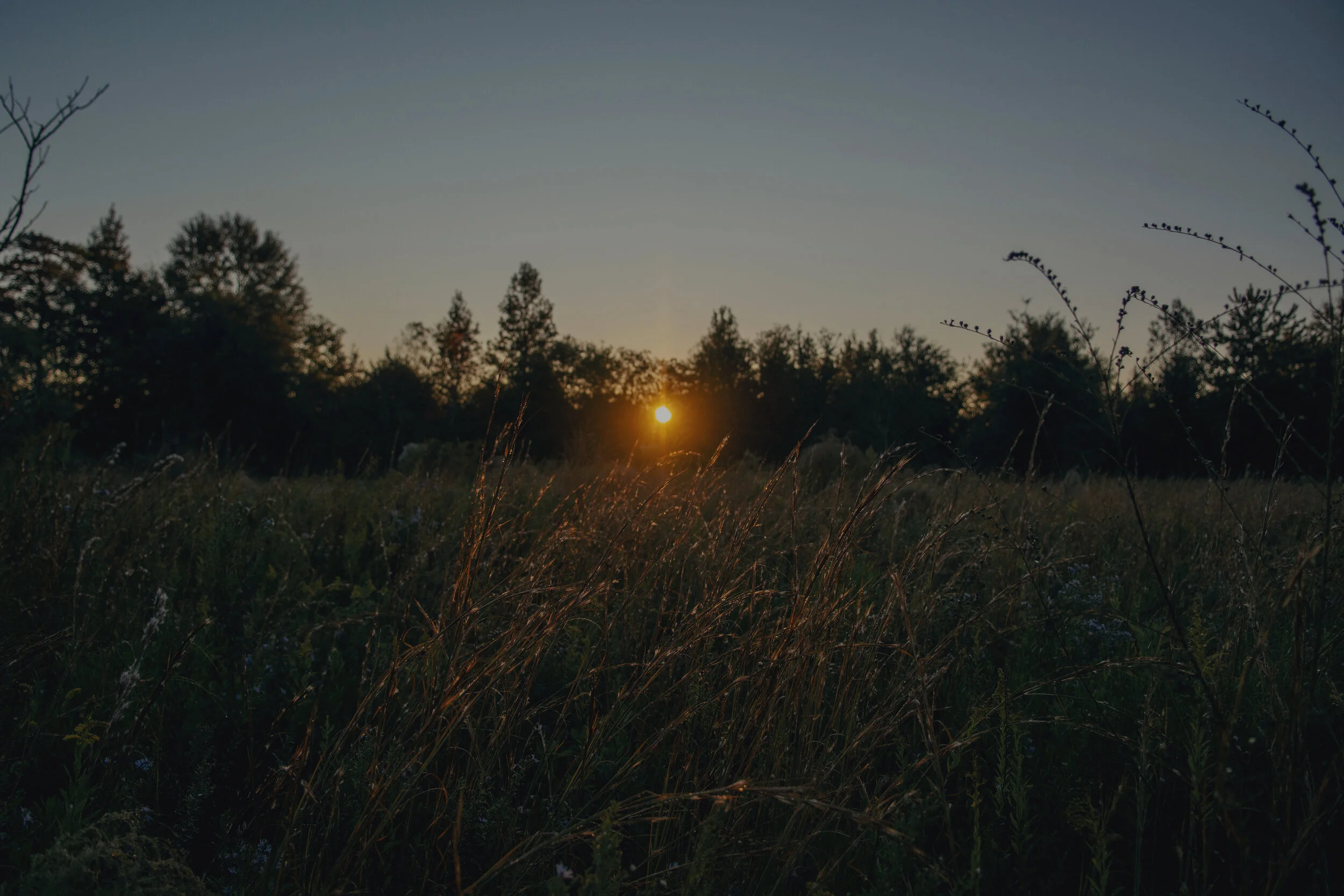 Intention production_Olivia Perillo_2019_155.JPG