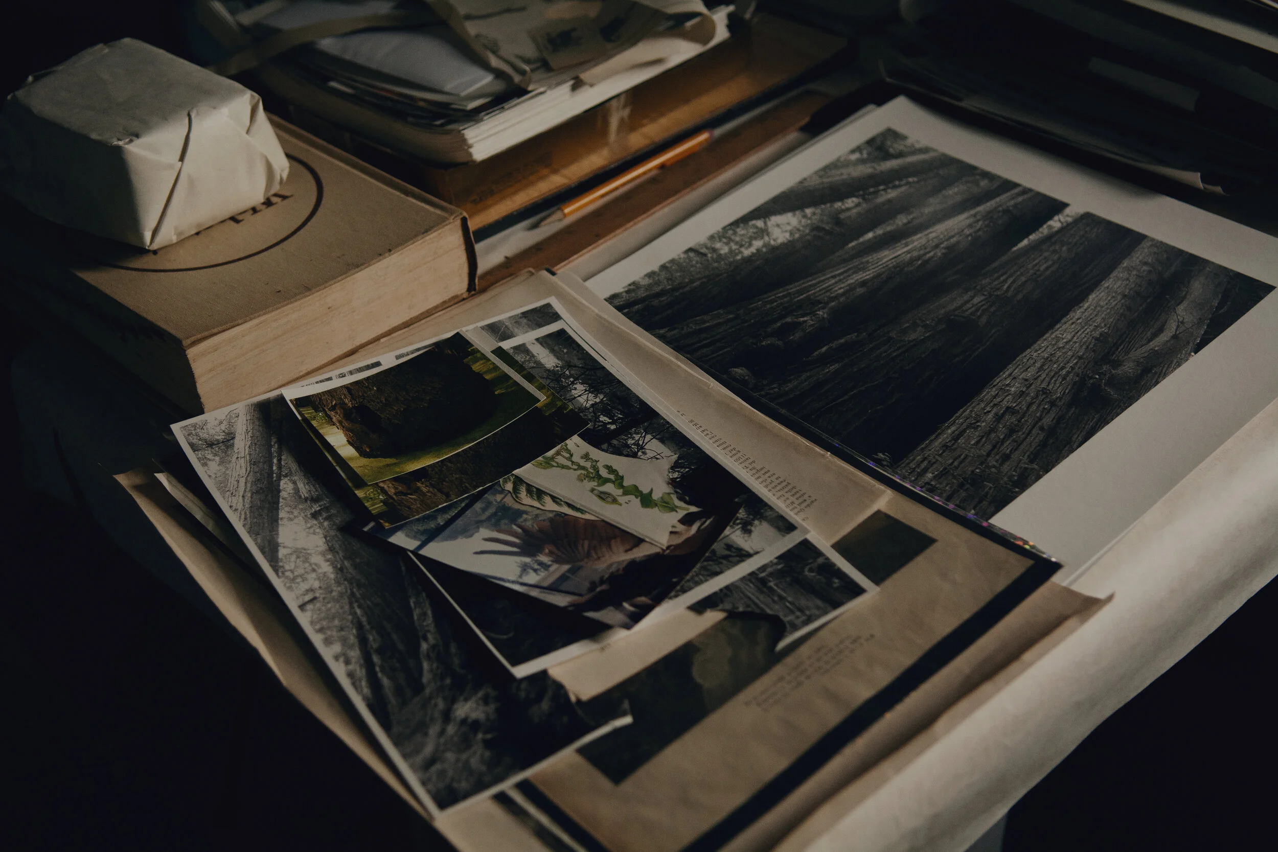 Intention production_Olivia Perillo_2019_274.JPG