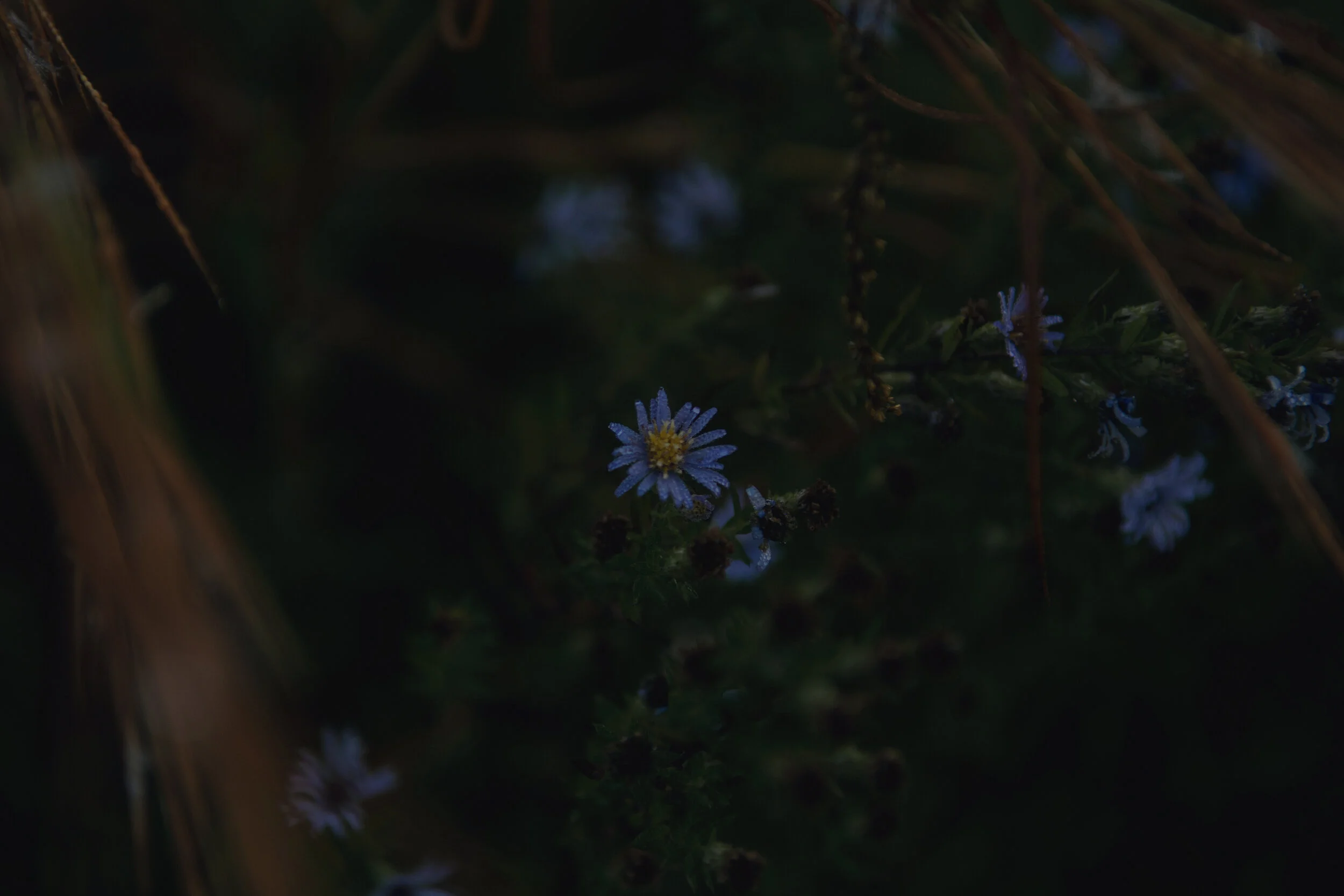 Intention production_Olivia Perillo_2019_158.JPG