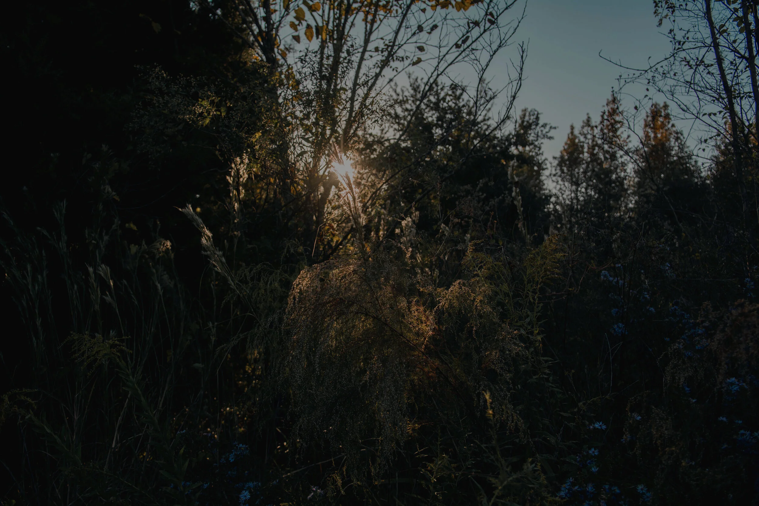 Intention production_Olivia Perillo_2019_123.JPG