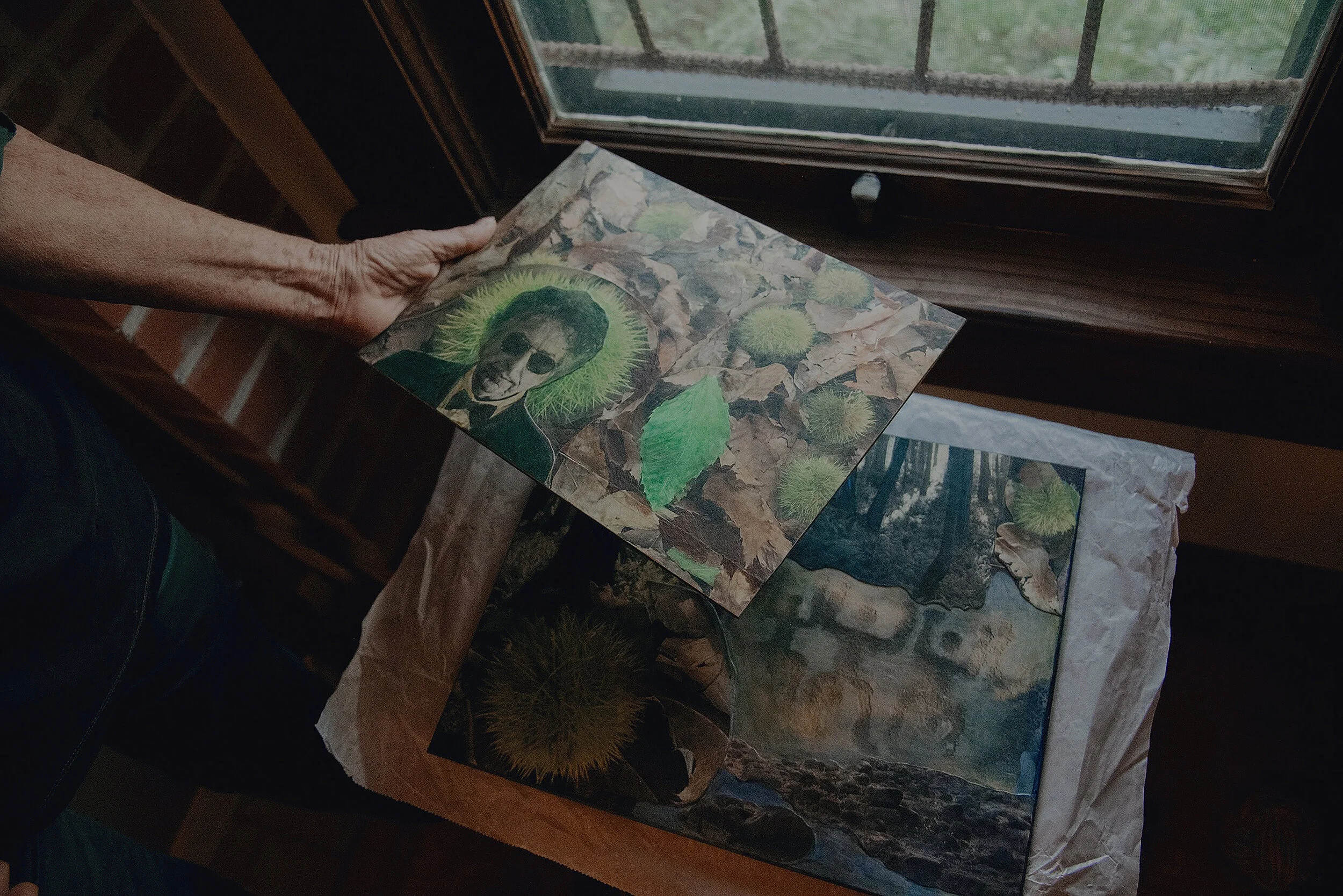 Lynda Frese_Intention production_2019_Olivia Perillo 04.JPG