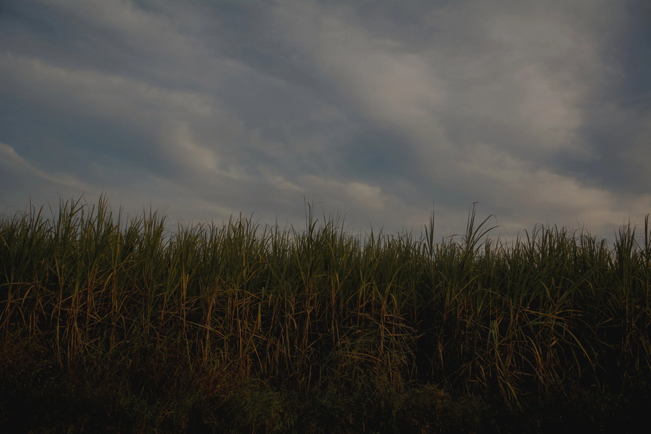 Intention production_Olivia Perillo_2019_253.JPG