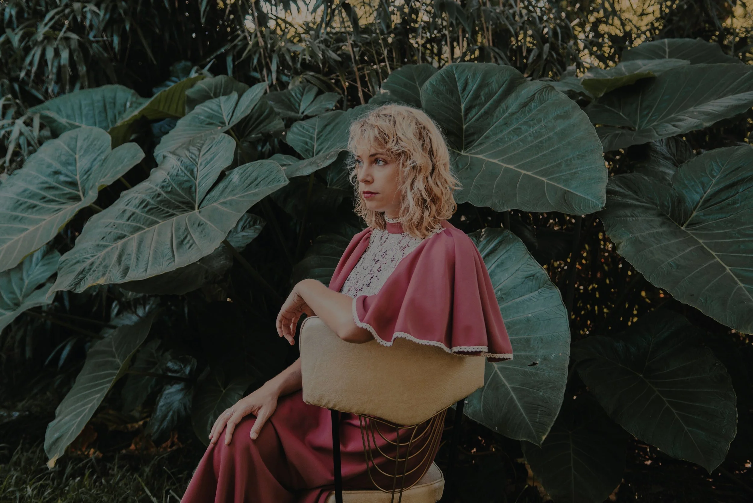 KC Jones : 2019