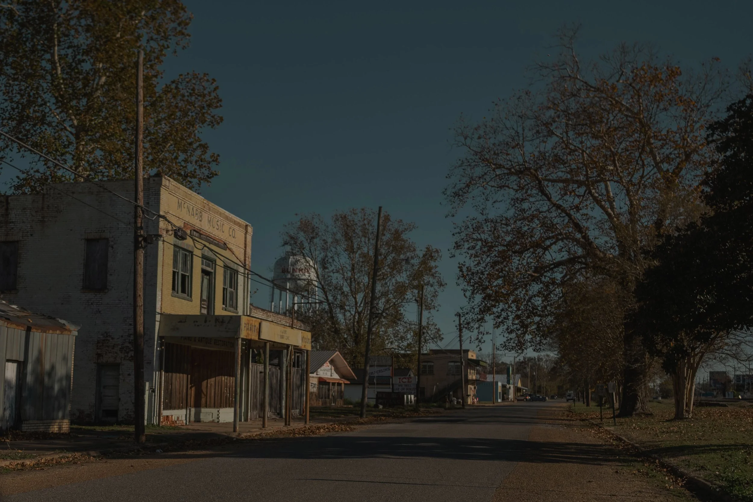 2021_mcnabb music co_olivia perillo 01.JPG