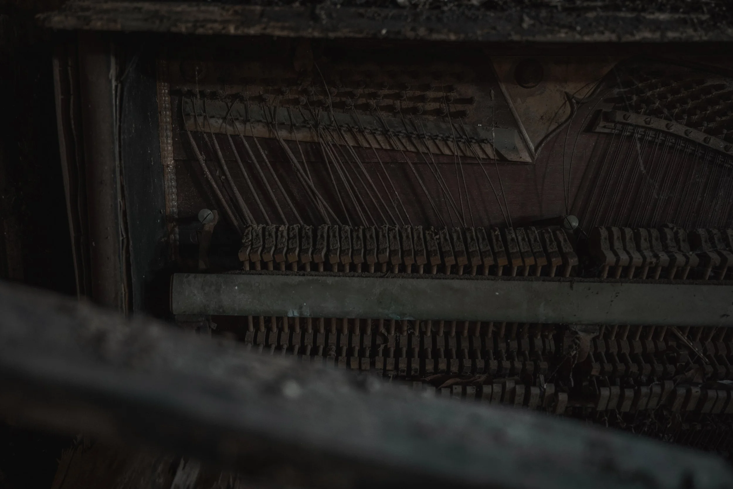 2021_mcnabb music co_olivia perillo 21.JPG