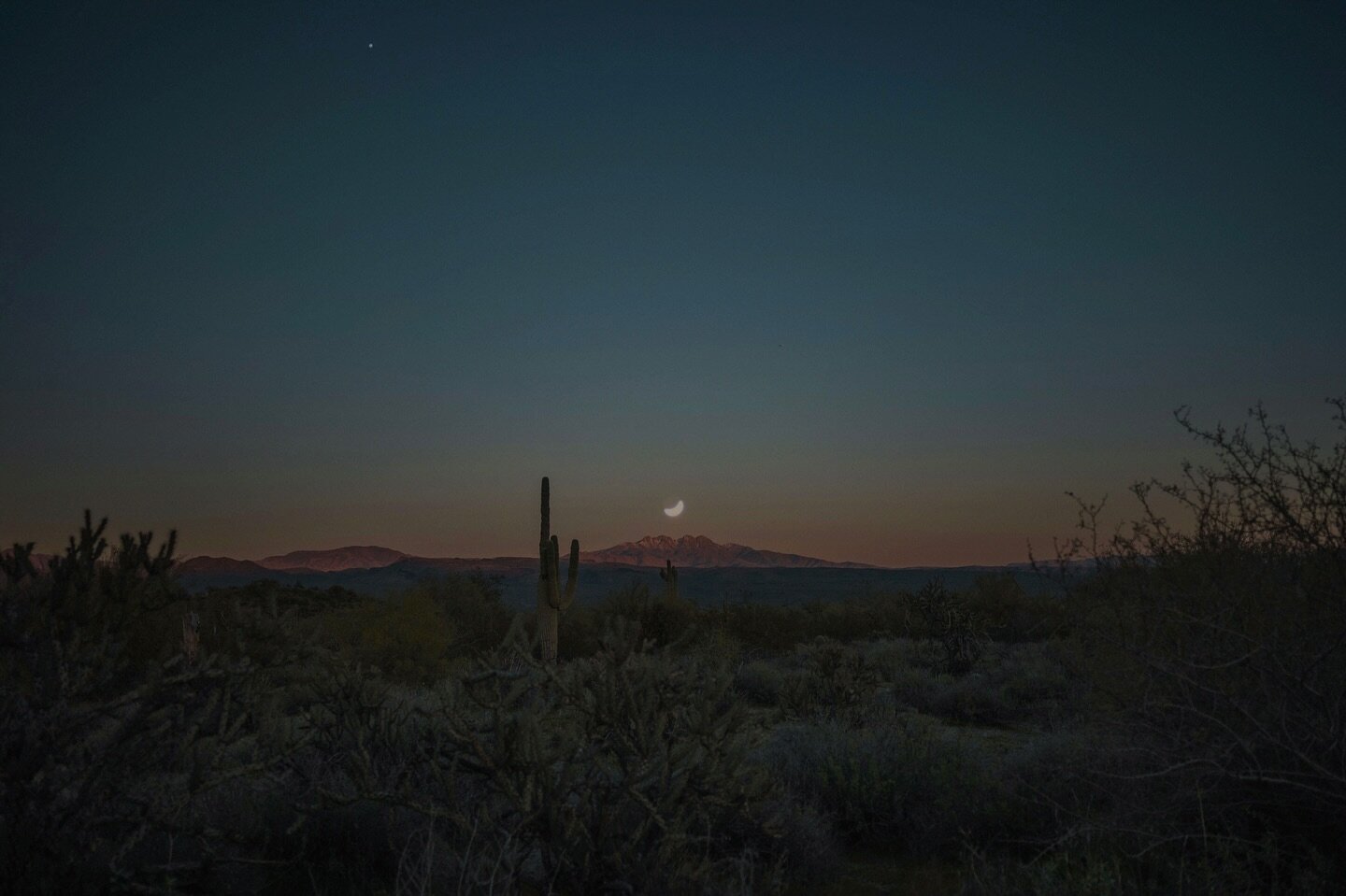 jupiter blessing / moon held with presence : double exposure composite love letter from the sonoran desert on a mardi gras day