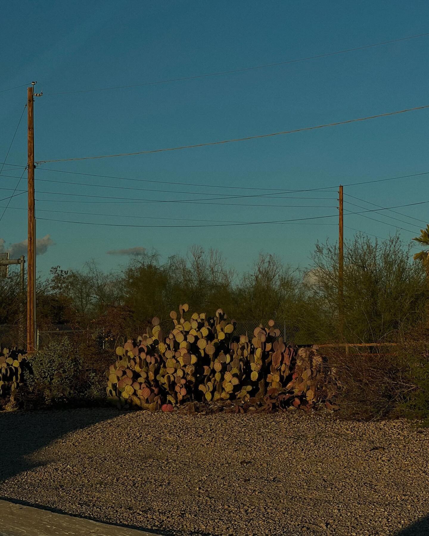 february desert collection continued : same saguaro different sky, xalychidom piipaash - &lsquo;people who live toward the water&rsquo; - on salt river pima-maricopa reservation, grandma asking to wear my navajo ring of the universe ft. her chicharro