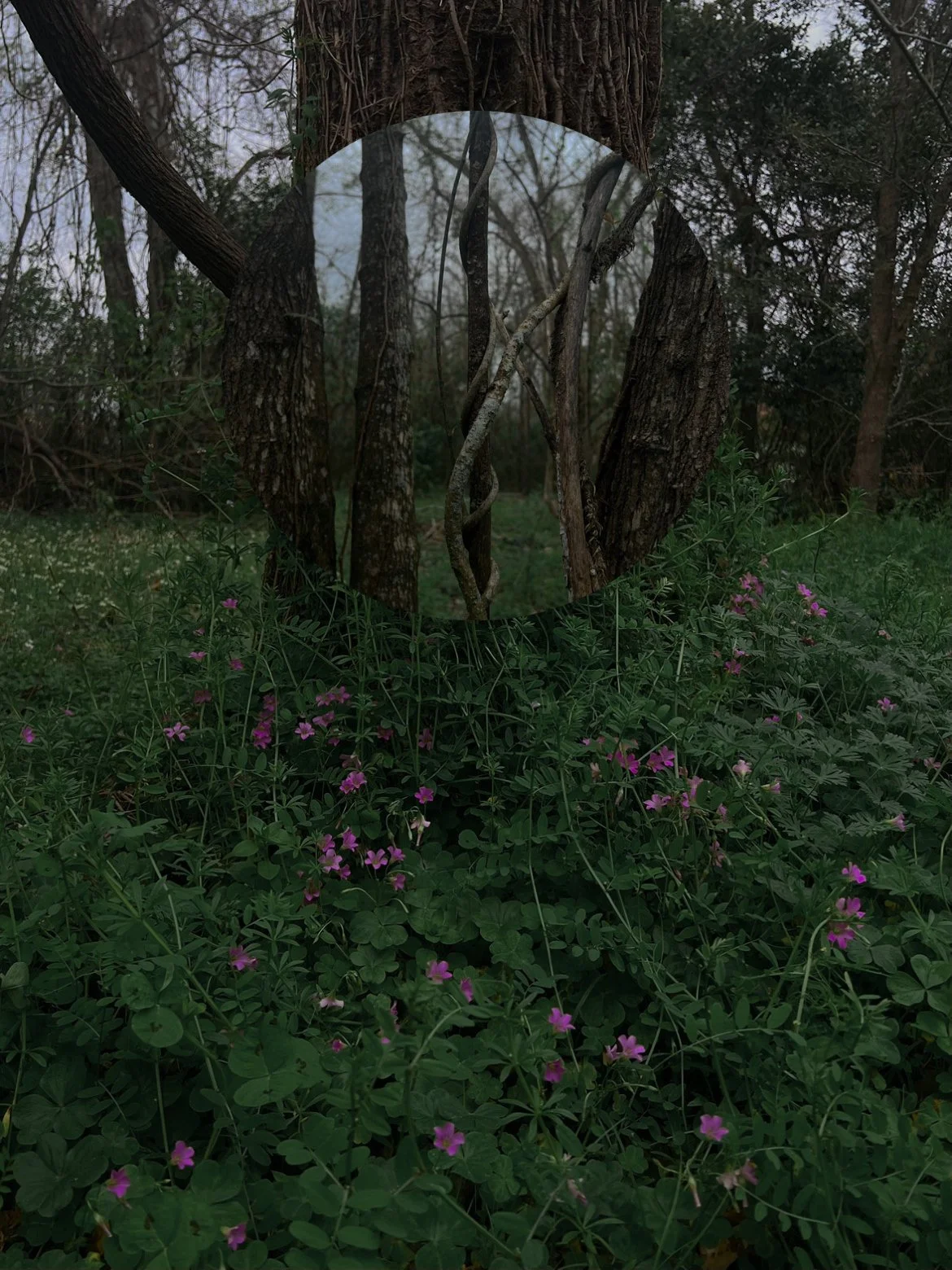 065 - 2024_olivia luz perillo.JPEG