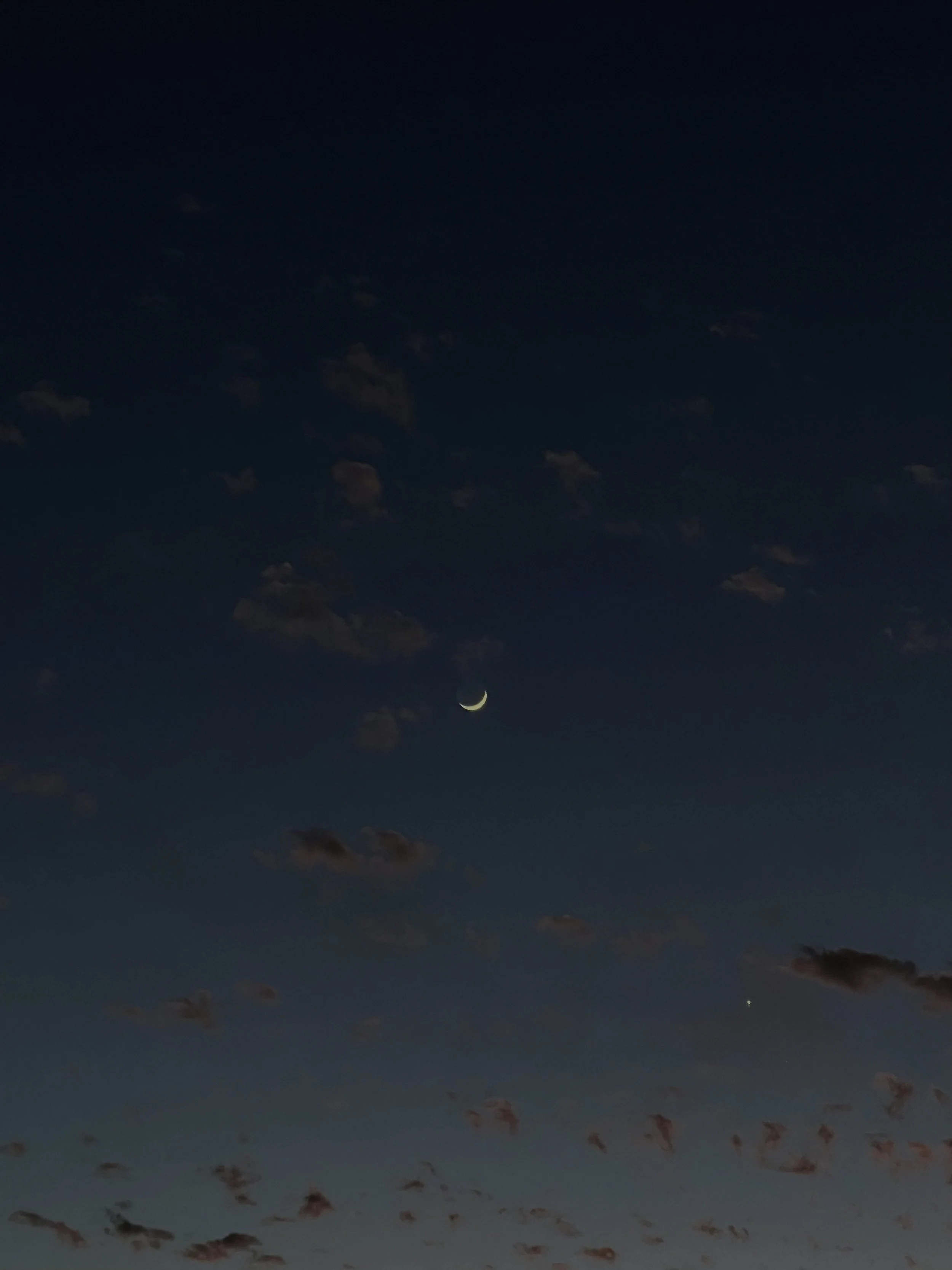 002 - 2023_olivia luz perillo.JPEG