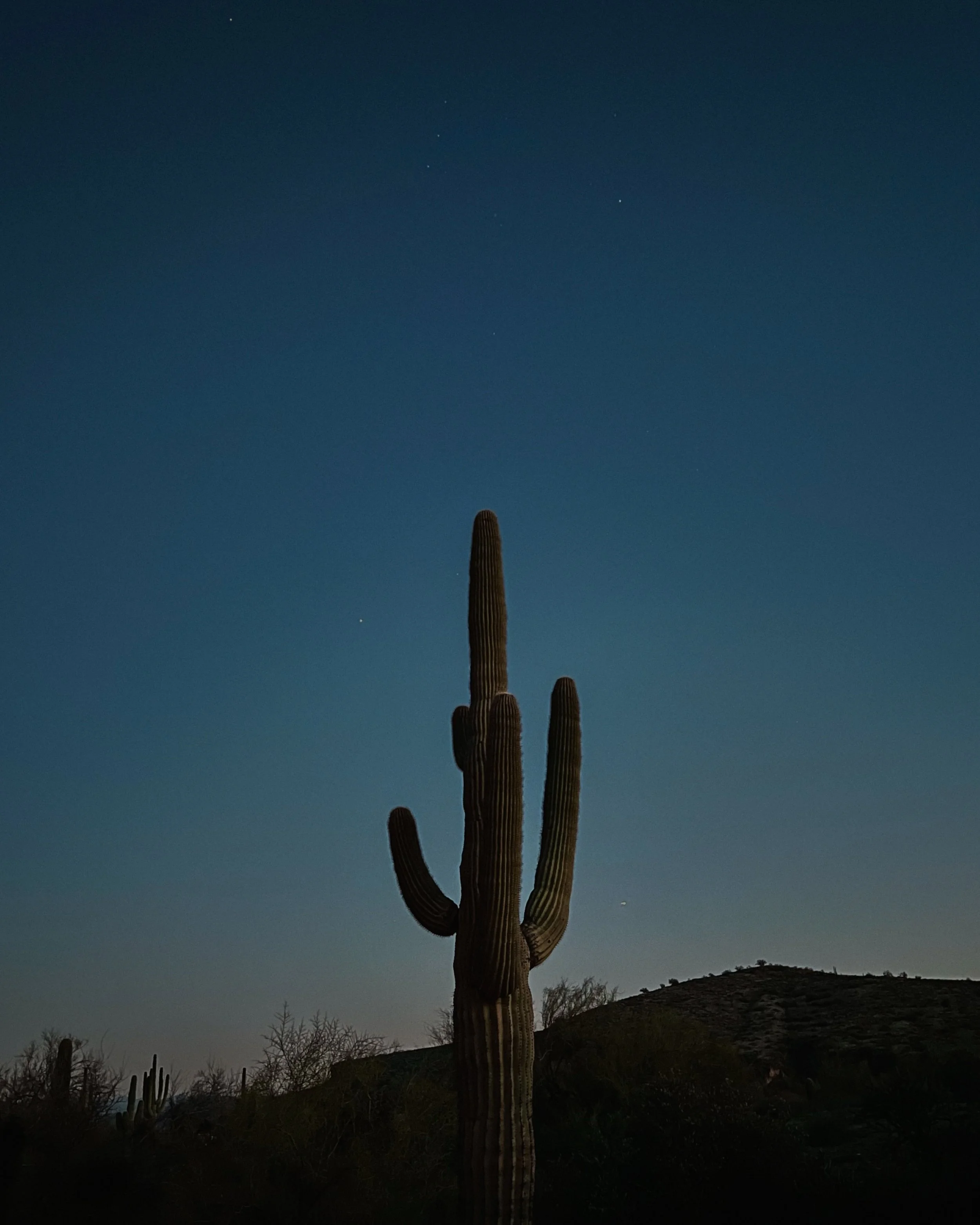 2024_arizona_014_olivia luz perillo.JPG