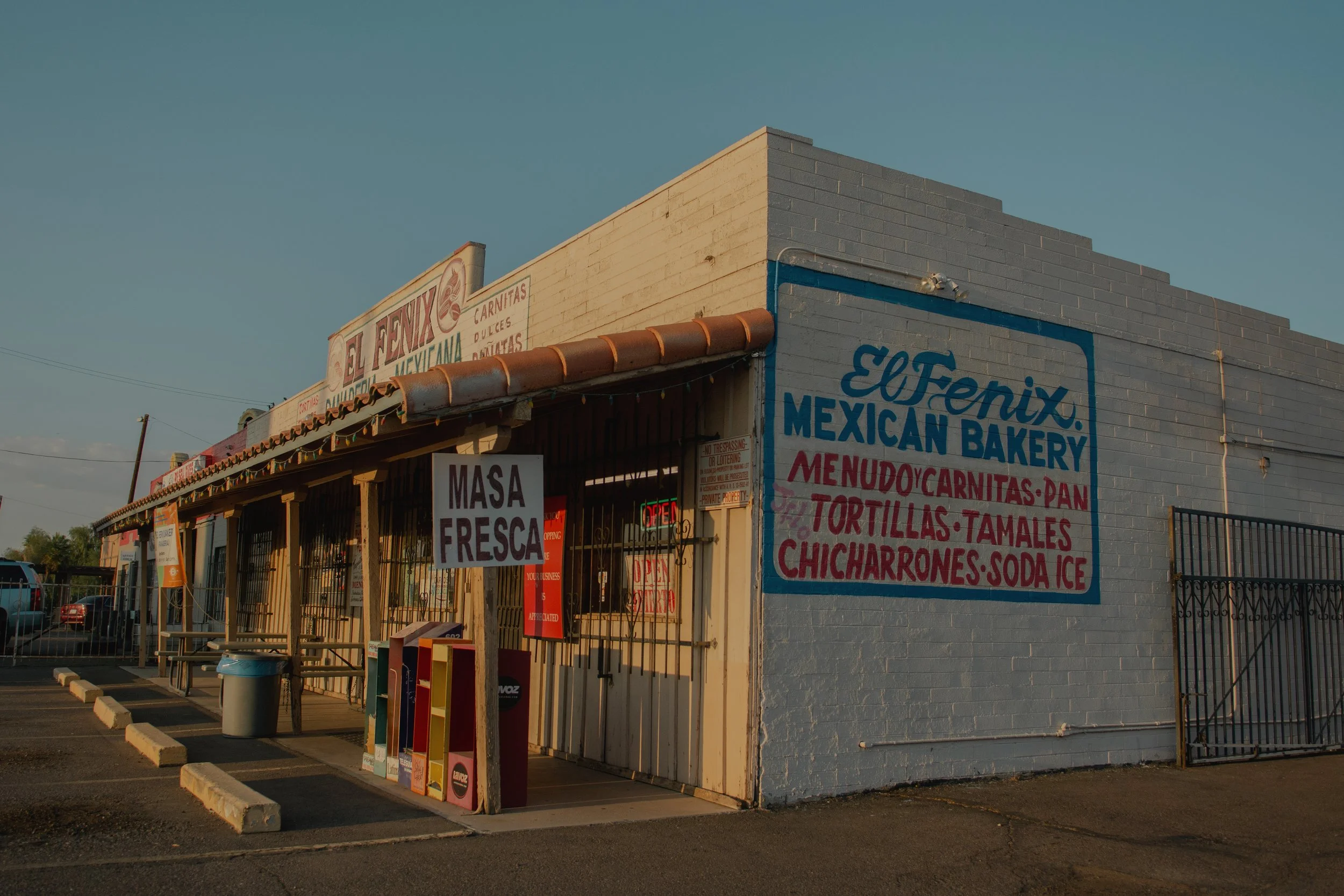 2020_phoenix_01_olivia luz perillo.JPG