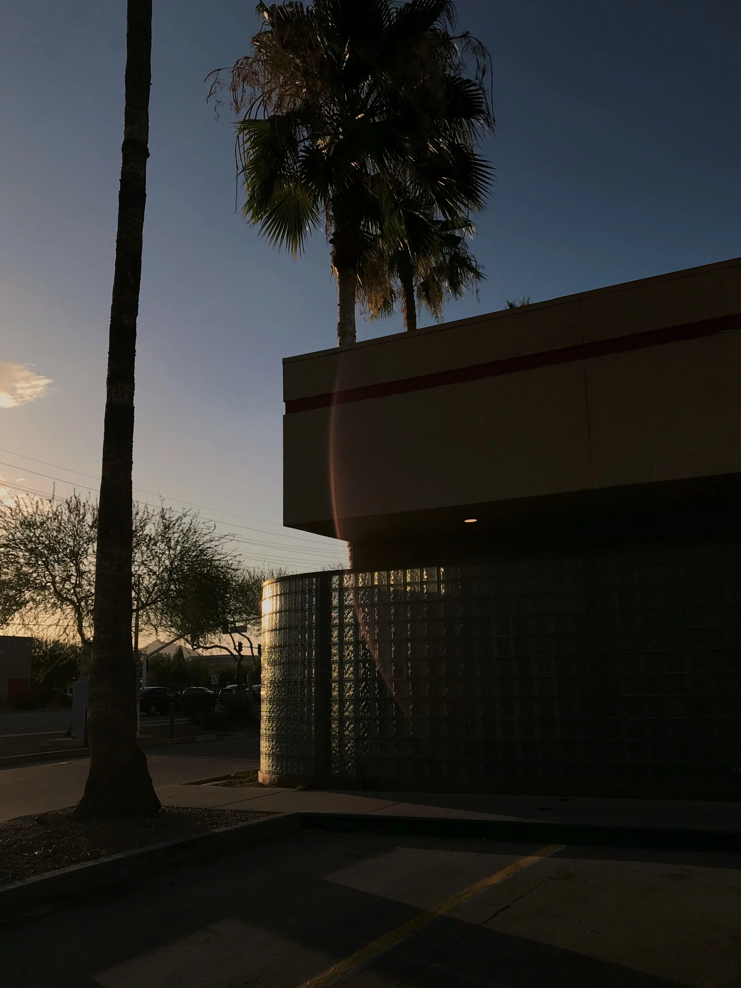 2020_scottsdale_01_olivia luz perillo.JPG