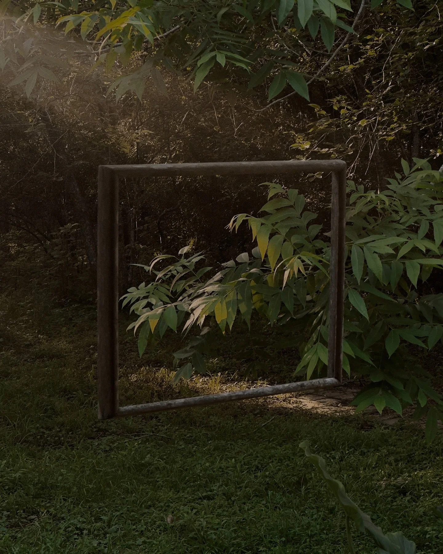 perspective is everything : the revolution will not be televised

ongoing / selects between summer 2023 + this week