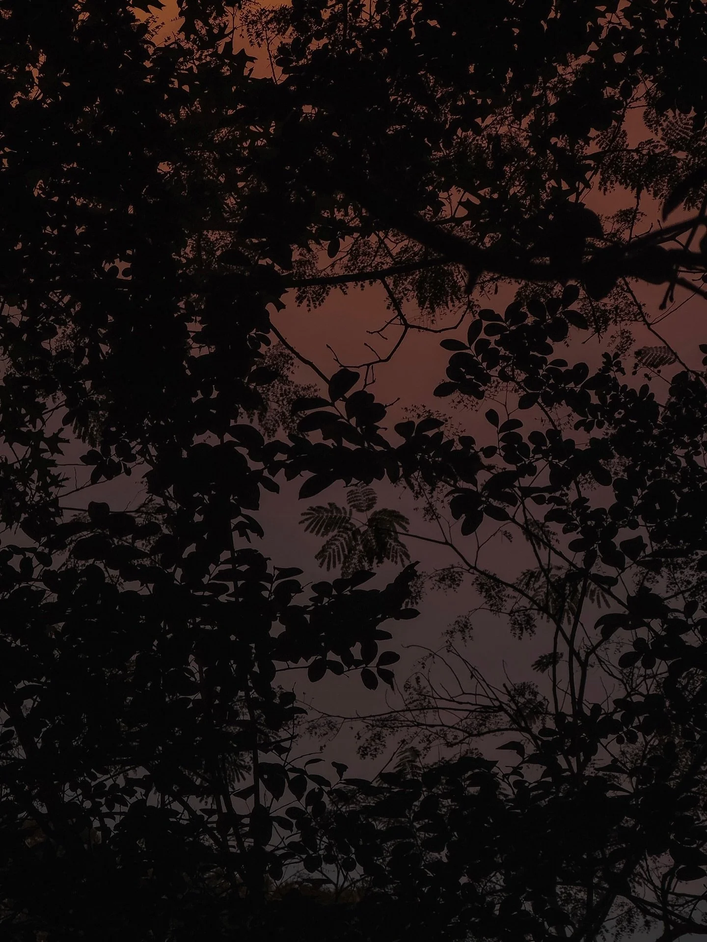 &bull; light reflectors : selects of the last couple moons as the seasons shift as seen from my immediate environment : three of hearts / four full years livin in the country