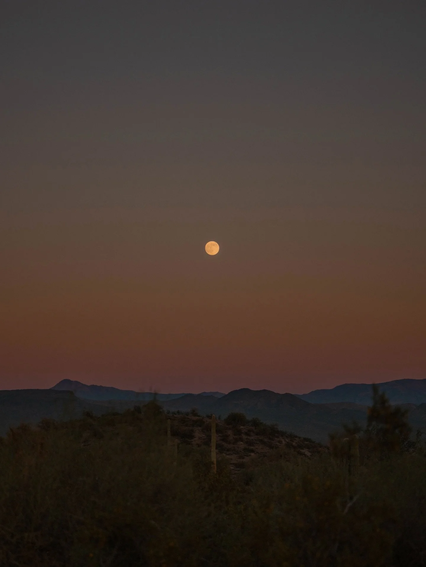 &bull; last moon in the sonoran desert : photographed five minutes apart

time has moved so quickly, quicker than I can keep up with / listening and learning while doing the most / lucky to be here / as always, more to come / more to say