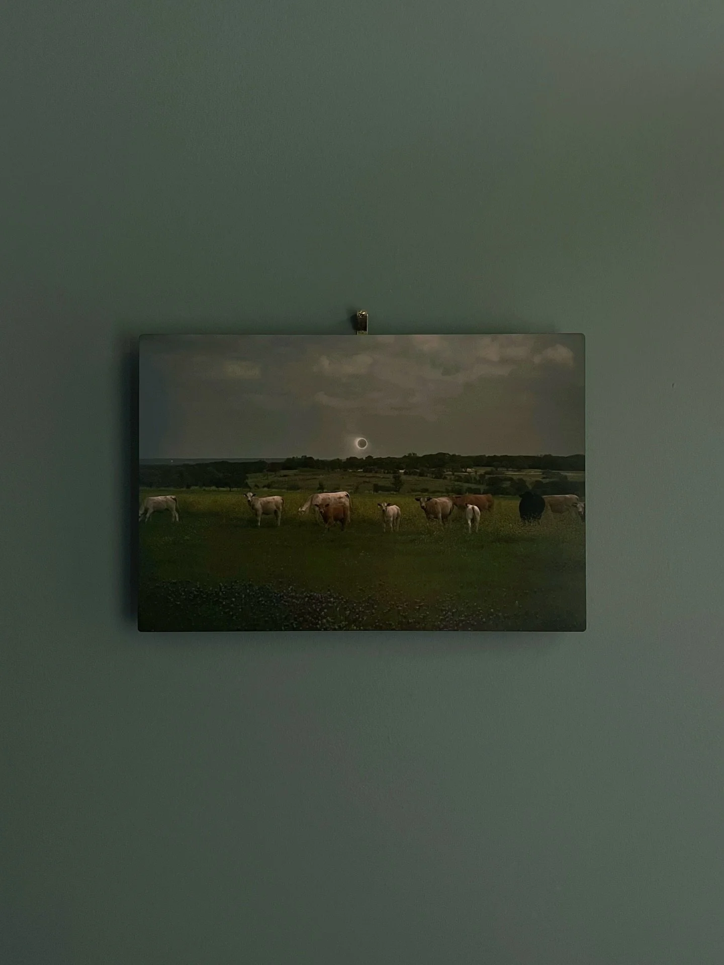 &bull; continued transmutation : solar eclipse totality from a rural texas bluebonnet cow pasture / double exposure composite on metal, 2024

since I was a child, I never had a doubt that being an artist is my mission in this lifetime, but it&rsquo;s