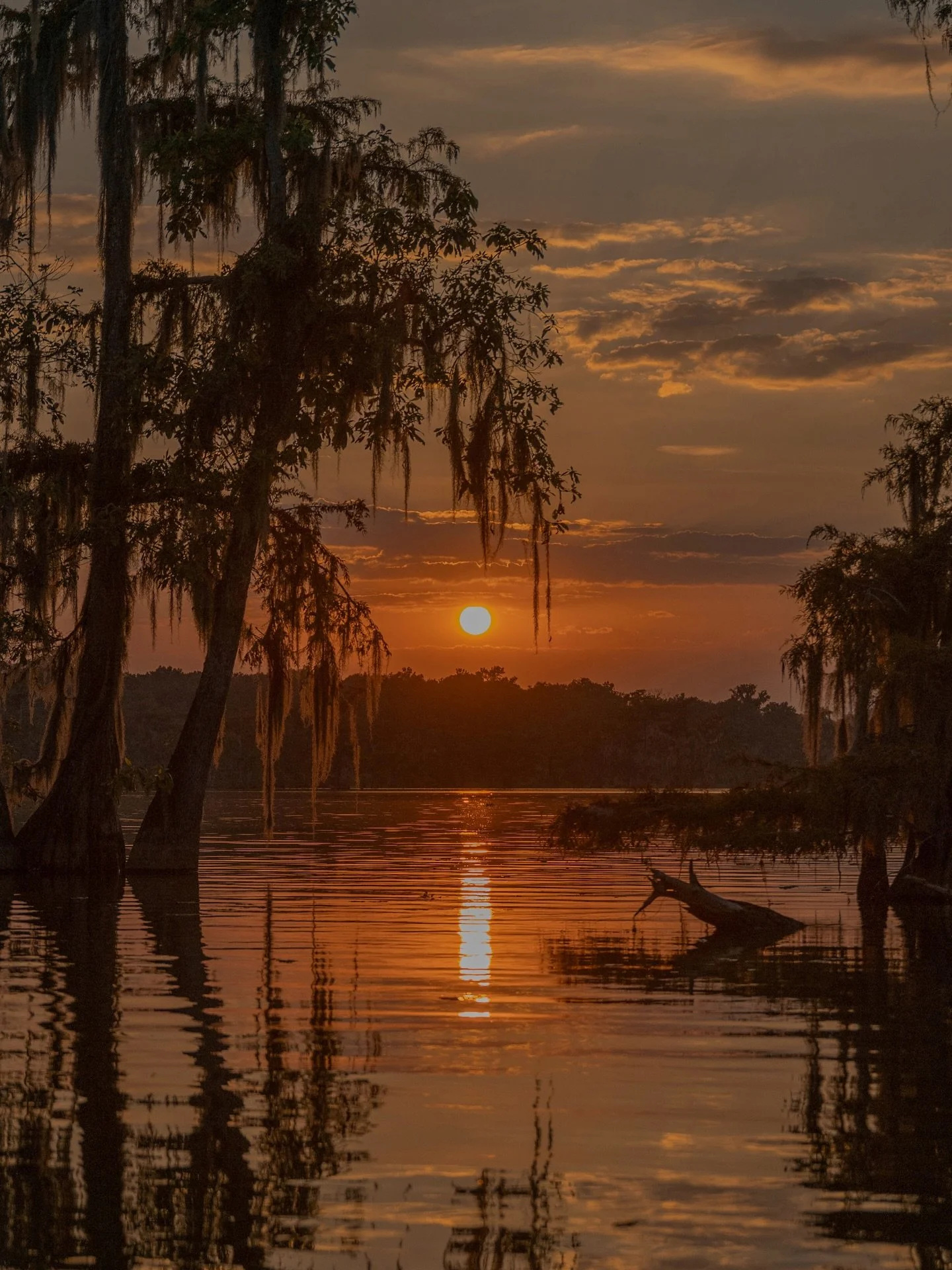 &bull; vertical 5x7 prints currently available : come collect tomorrow at @wildchildwineshop 4-9pm + get in touch for shipping

1 - september swamp sunset, 2025
2 - false river cosmos, 2025
3 - aurora, st. landry parish, 2025
4 - perspective is every