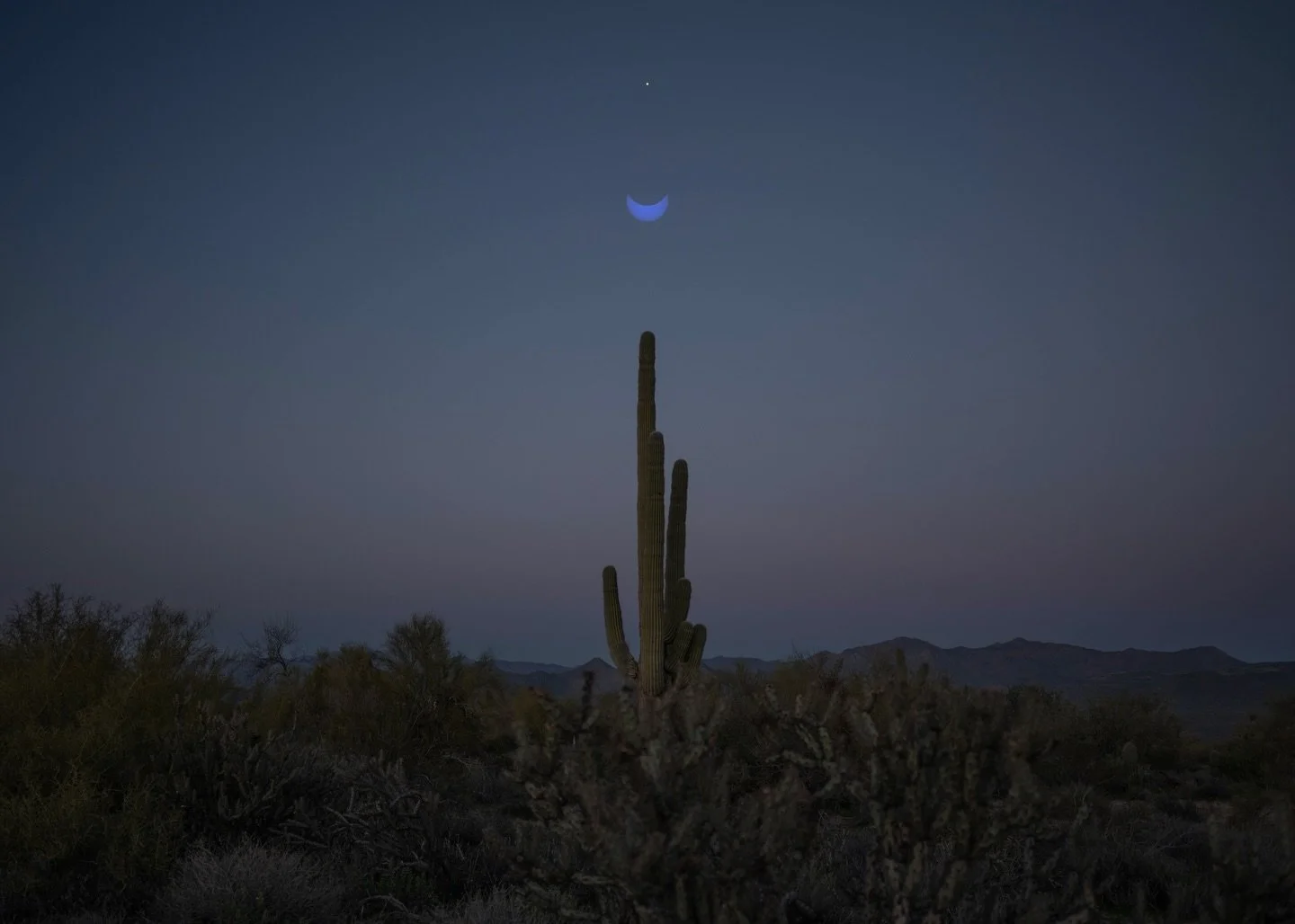 &bull; 5x7 desert prints currently available : come collect tomorrow at @wildchildwineshop 4-9pm + get in touch for shipping

1 - on new beginnings, resilience, pleasure : venus + eclipse + saguaro, 2024
2 - swamp owl, far west texas, 2019
3 - blue s