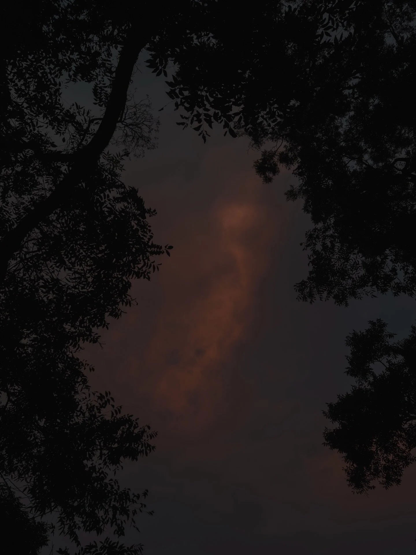 &bull; selection of images mostly at home between the autumn equinox + winter solstice + last week :: lots of gratitude for this last year which happened to be my personal + professional best while simultaneously my most isolated / grateful for all w