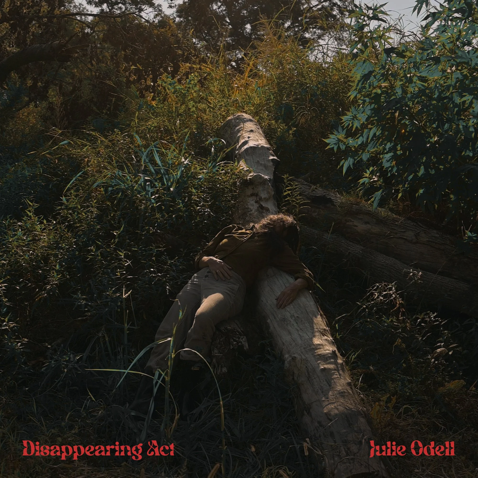 Julie Odell - Disappearing Act : photography + design, 2025