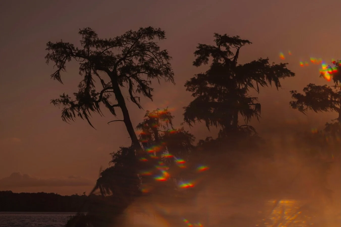 &bull; save the date : thrilled to share I&rsquo;ve been working on an experimental swamp short film for the group exhibition, gulf streams: atchafalaya remixed, opening april 11 at the @hilliardartmuseum

this multidisciplinary exhibition draws from