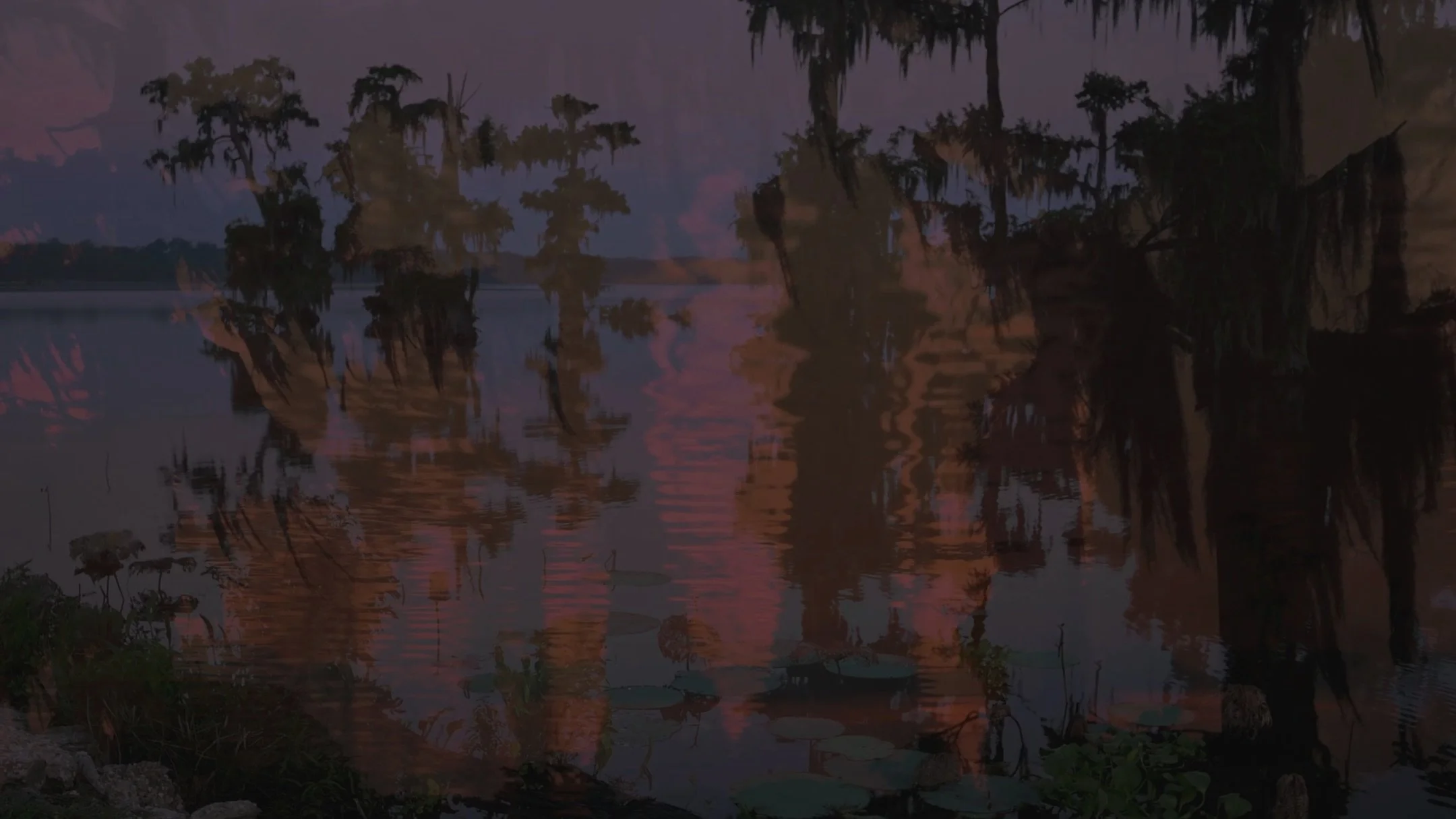 &bull; &lsquo;333 / returning&rsquo; : stills from my experimental swamp short film currently on view at the @hilliardartmuseum in lafayette, louisiana

this piece was created in response to audio field recordings captured by dr. earl robicheaux for 