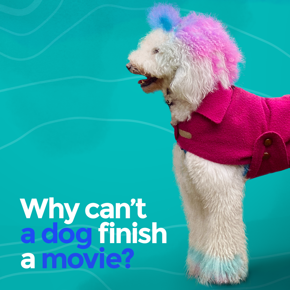 ADOG_S1_01860_spStatic_ButtOfTheJoke_MoviePaws_Left_IG_v1b_SS.png
