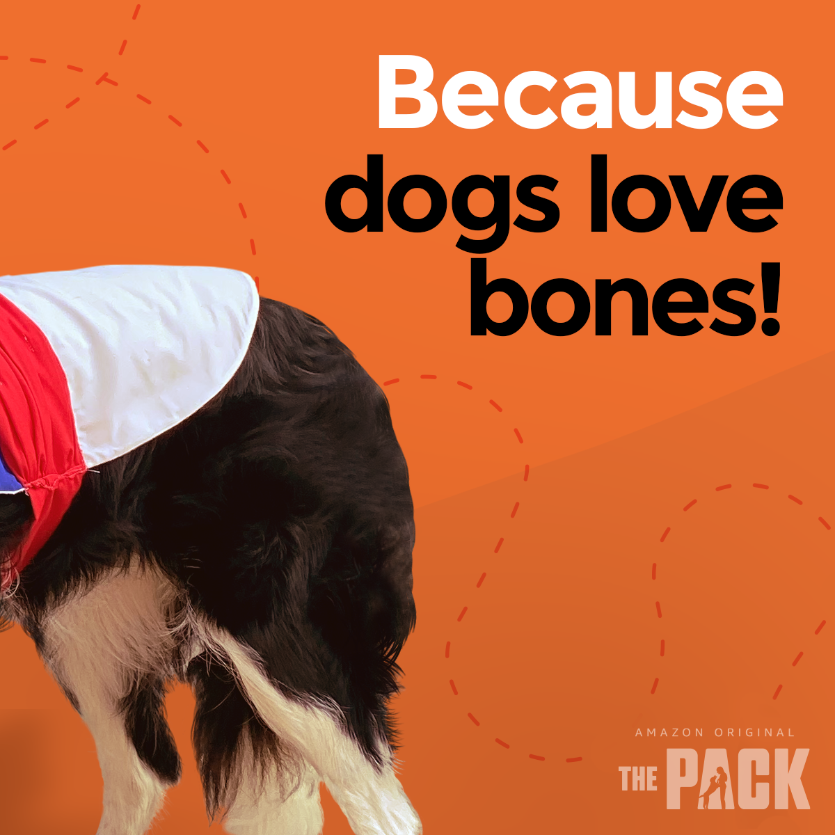 ADOG_S1_01860_SPStatic_ButtOfTheJoke_Skeletons_Right_IG_v2c_SS.png