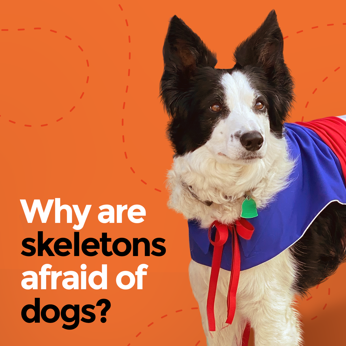 ADOG_S1_01860_SPStatic_ButtOfTheJoke_Skeletons_Left_IG_v2b_SS.png