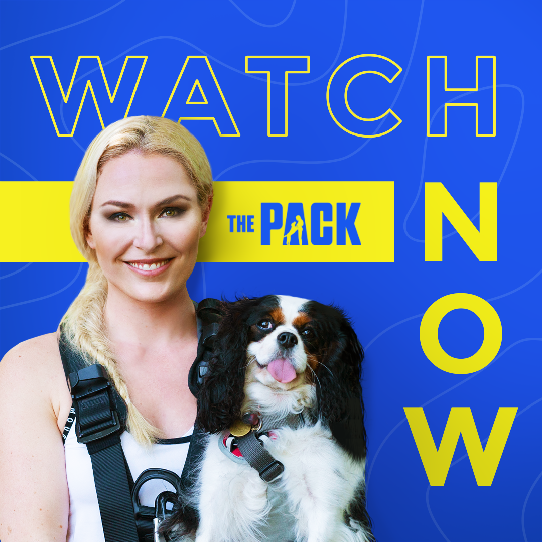 ADOG_S1_01860_SPStatic_Countdown_NowStreaming_1x1_v3_SS.png
