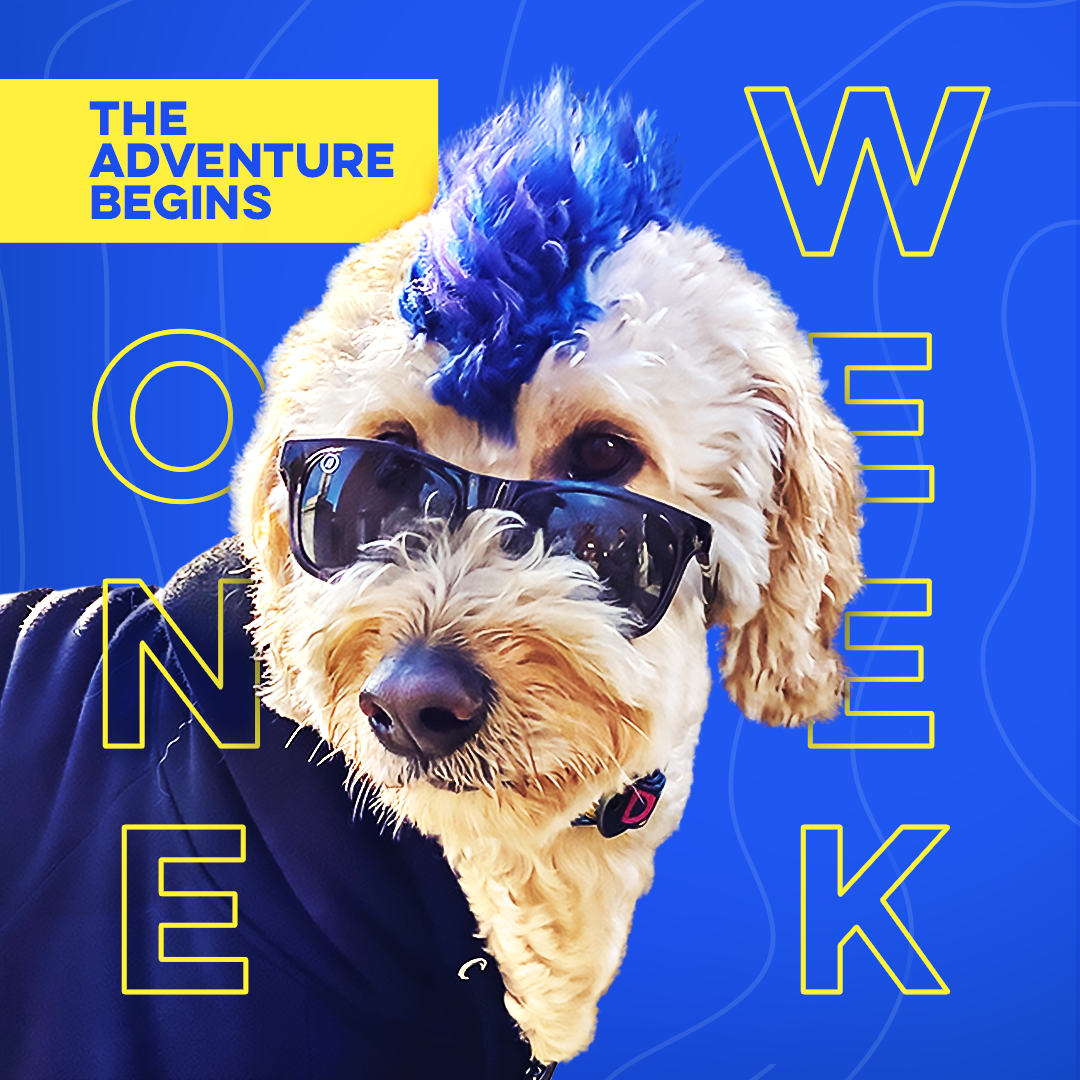 ADOG_S1_01860_spStatic_Countdown_1Week_1x1_v3a_SS.png