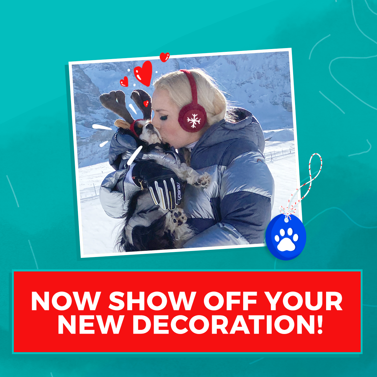 ADOG_S1_01860_spStatic_DIYDogCraft_02_FR6_v3_es.png