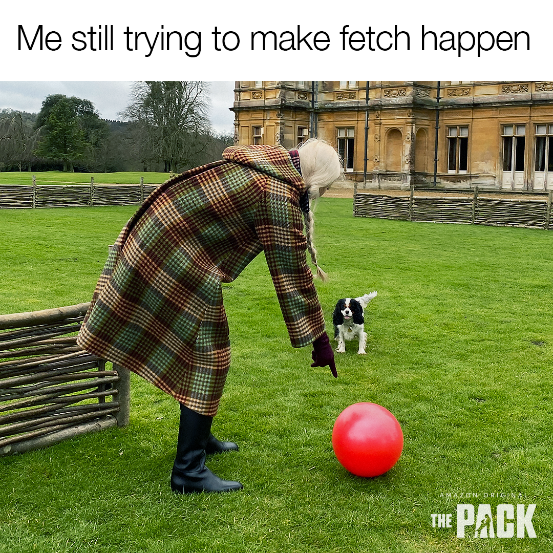 ADOG_S1_01860_spStatic_Meme_FetchDay_1x1_v2_SS.png