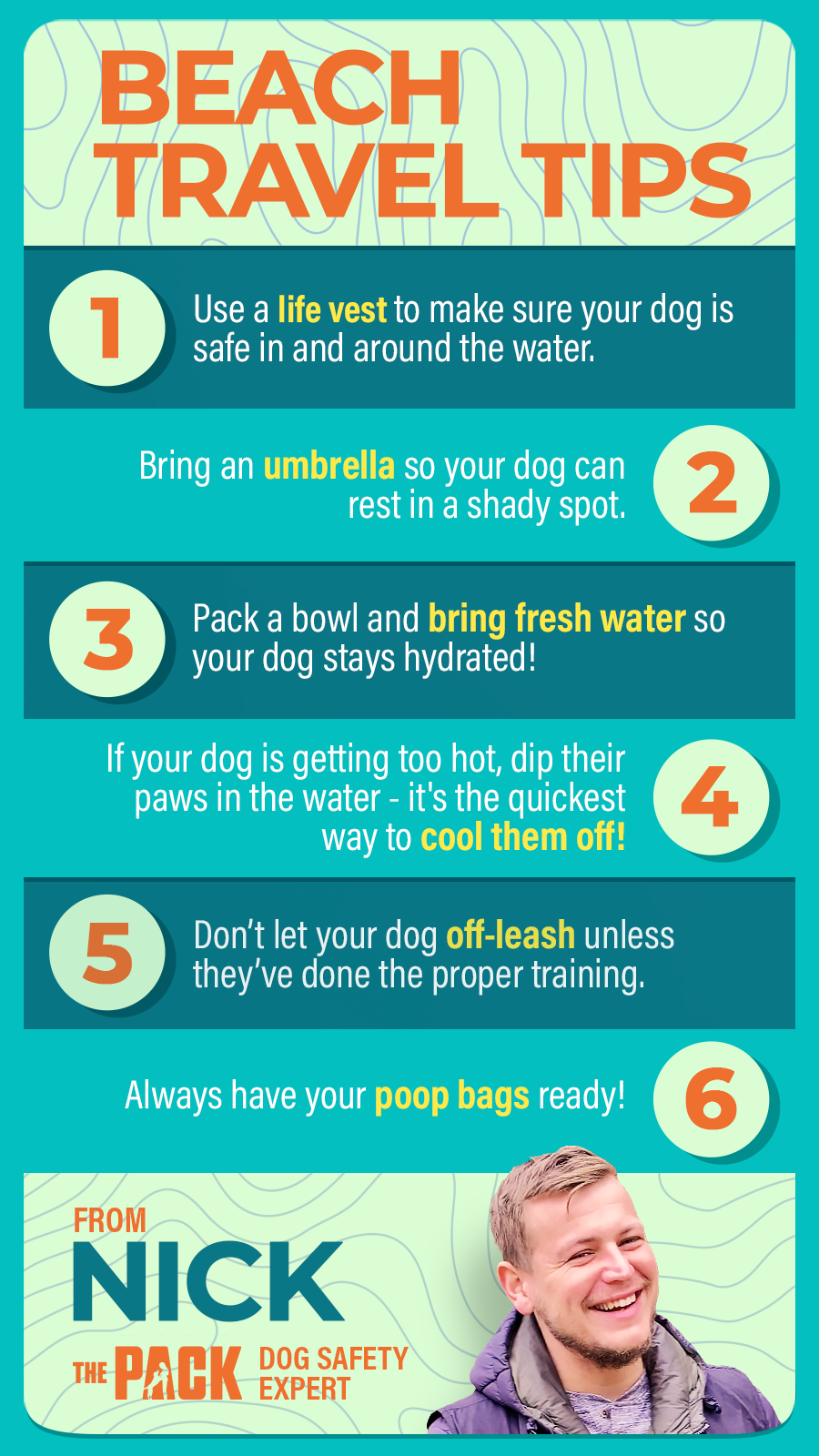 ADOG_S1_01860_spStatic_TravelTips_Nick_v1_MM.png