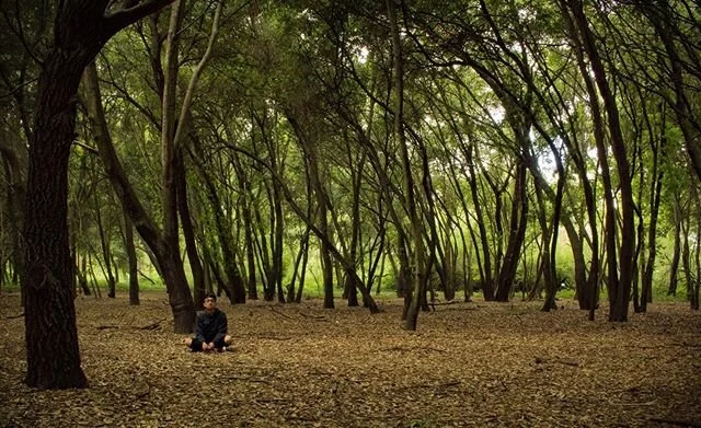 Don&rsquo;t know if you can even call this a self portrait but found this photo from two years ago when I was getting back into photography.