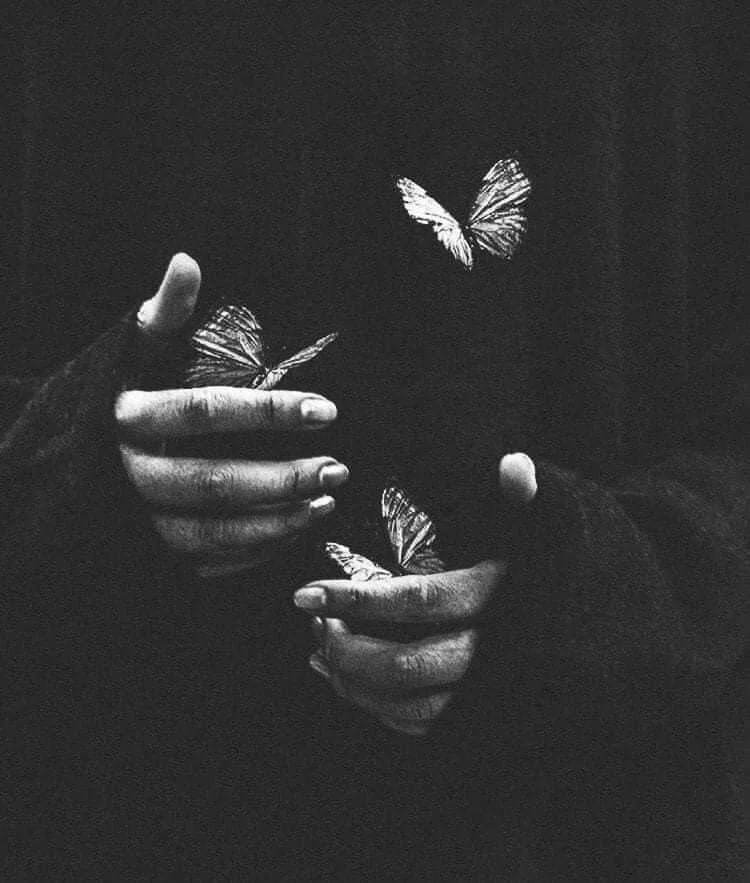 Butterflies and hands