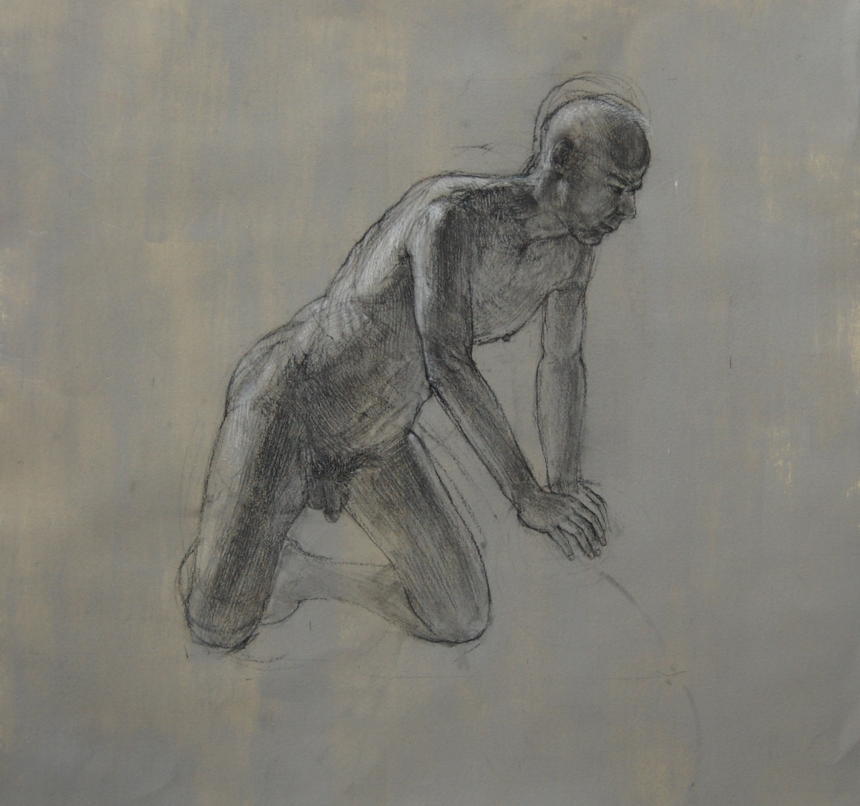 Male on Prop. Charcoal and white on prepared paper 24x24"