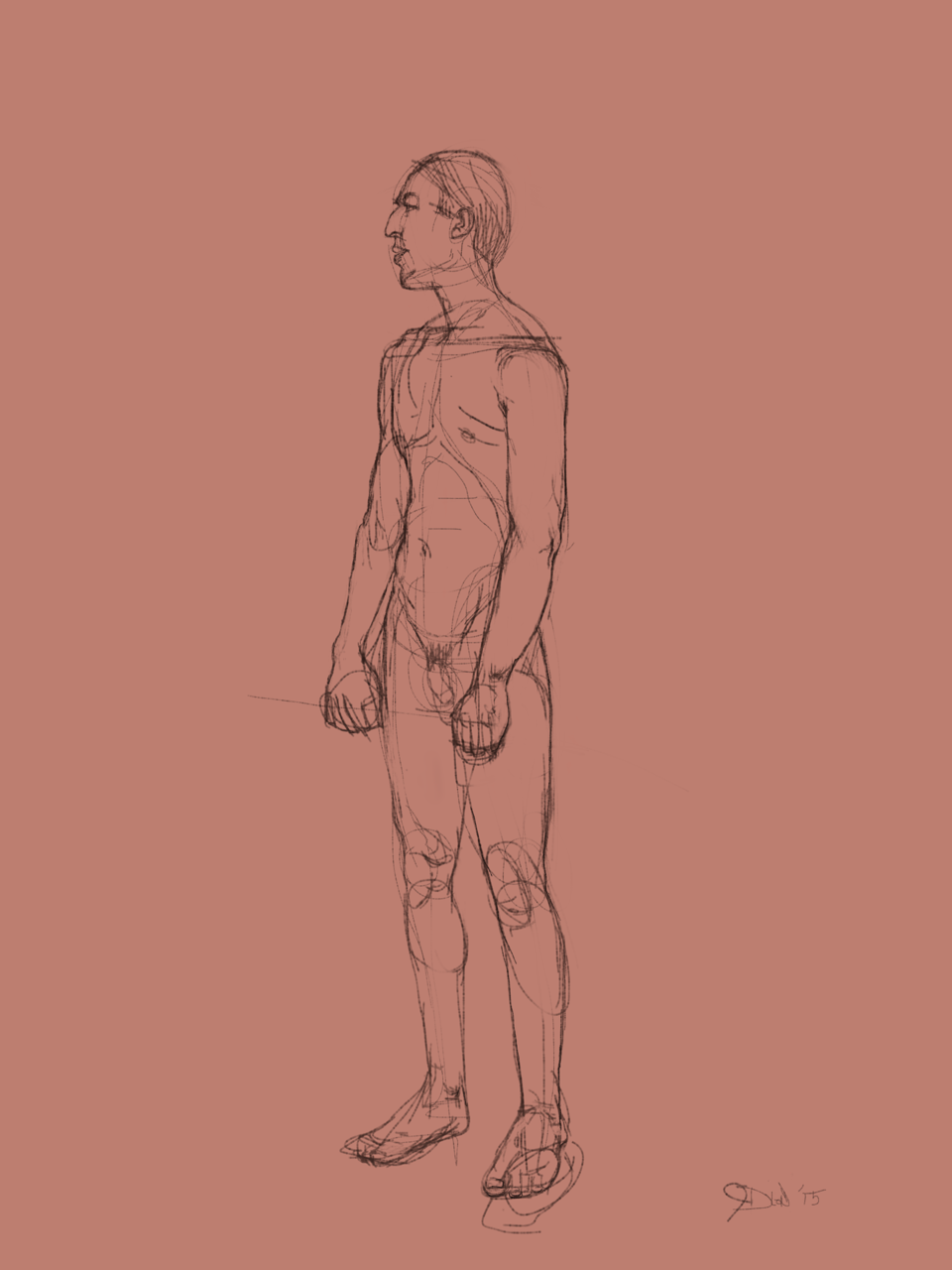 Standing male. Sketchbook Pro