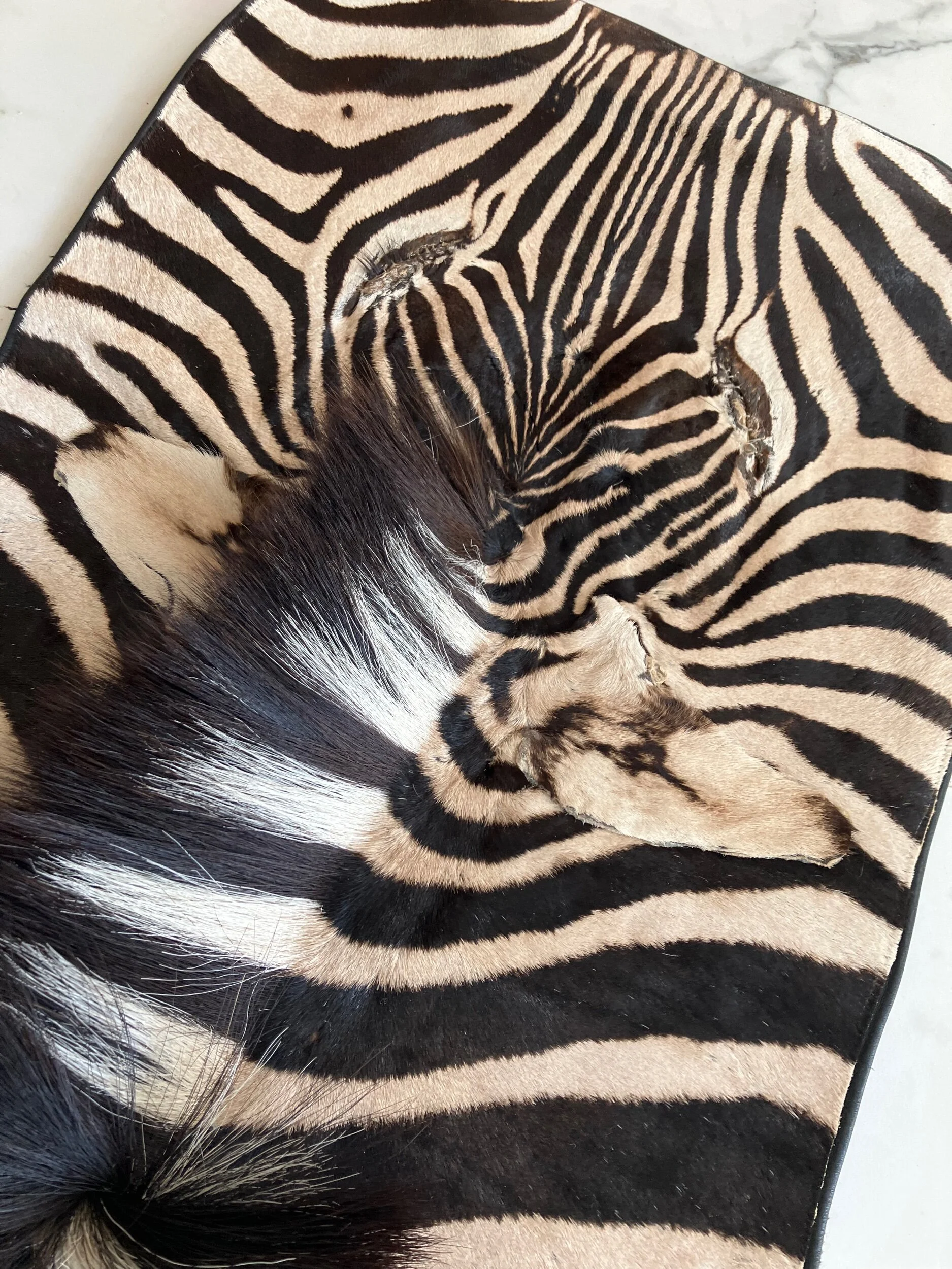 50C0ADEF-41D5-4162-AB63-C857851361E4